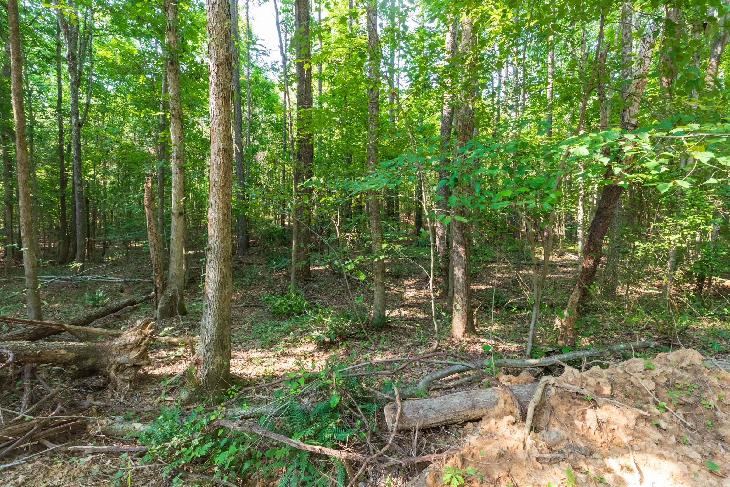 Whiskey Ridge Tract 110 photo 2