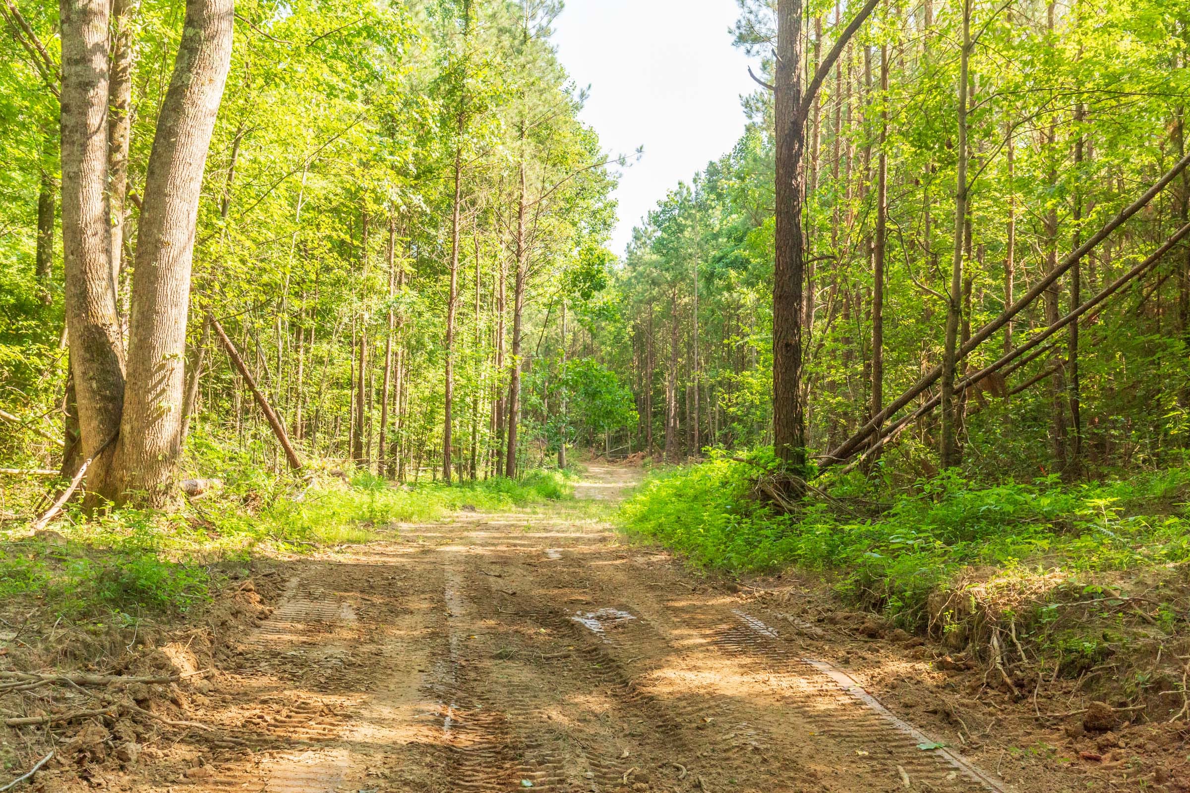 Whiskey Ridge Tract 91 photo 1