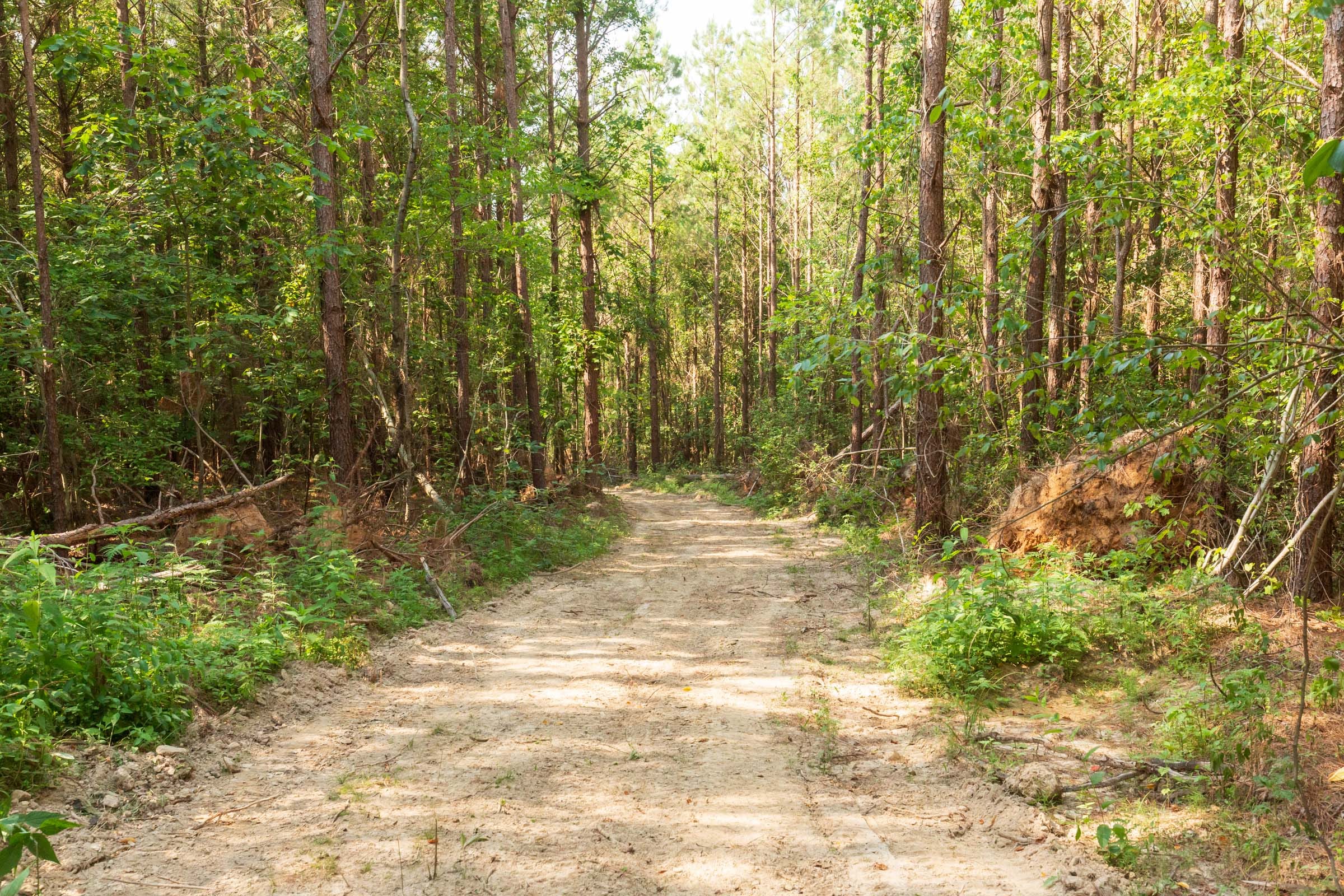 Whiskey Ridge Tract 91 photo 6