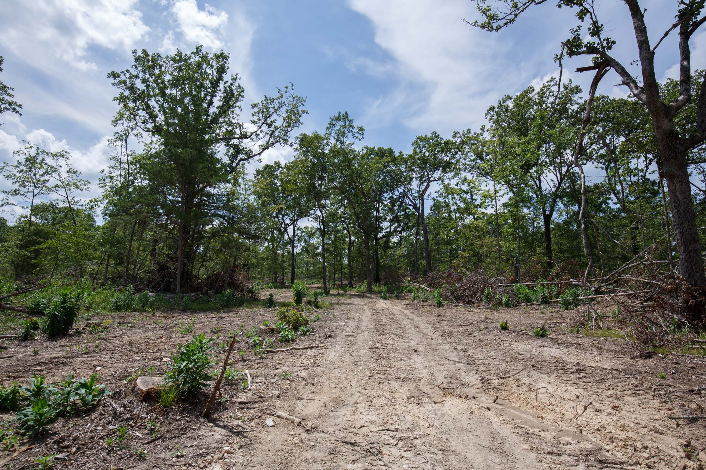 Wildwood Tract 9 photo 7