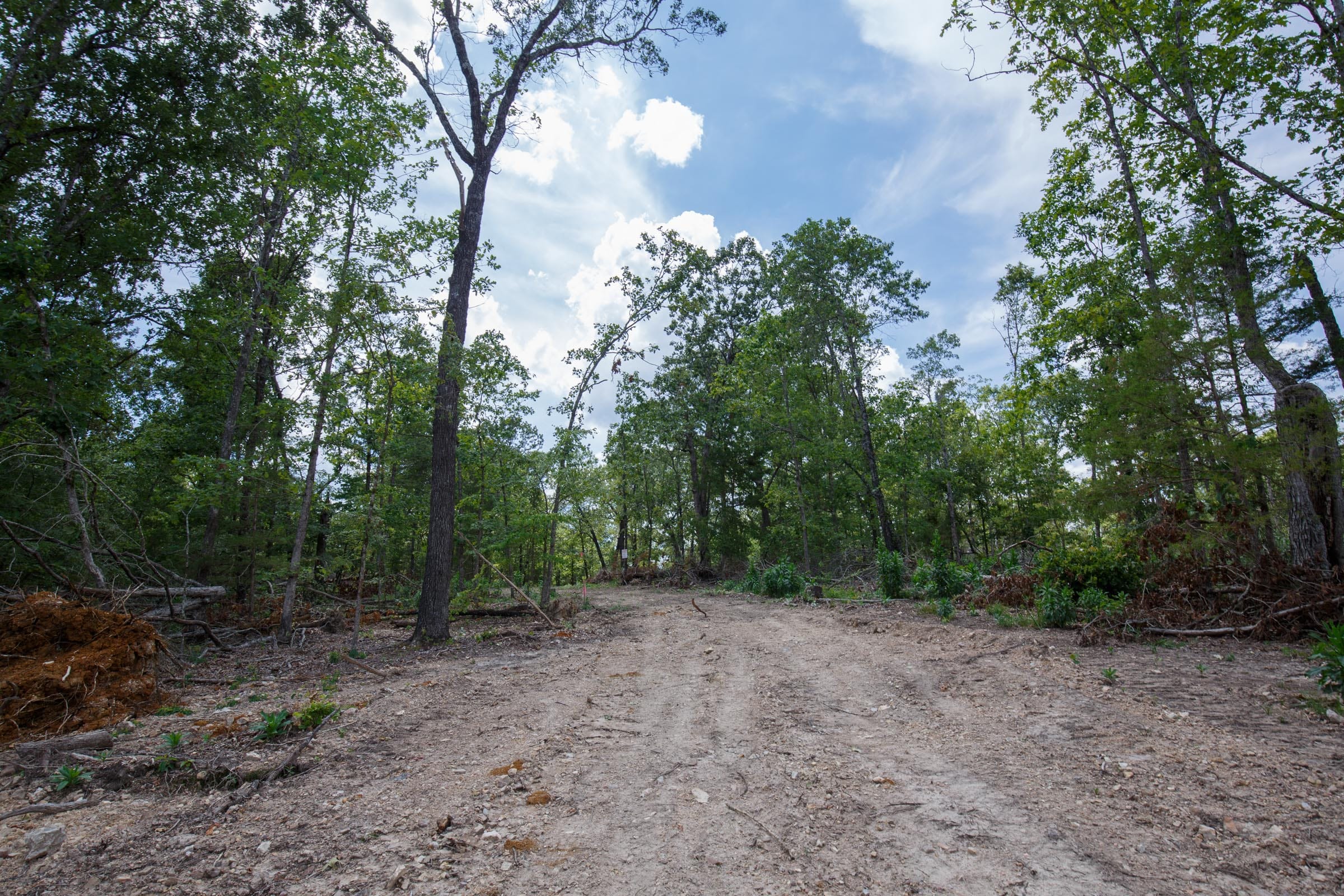 Wildwood Tract 9 photo 10