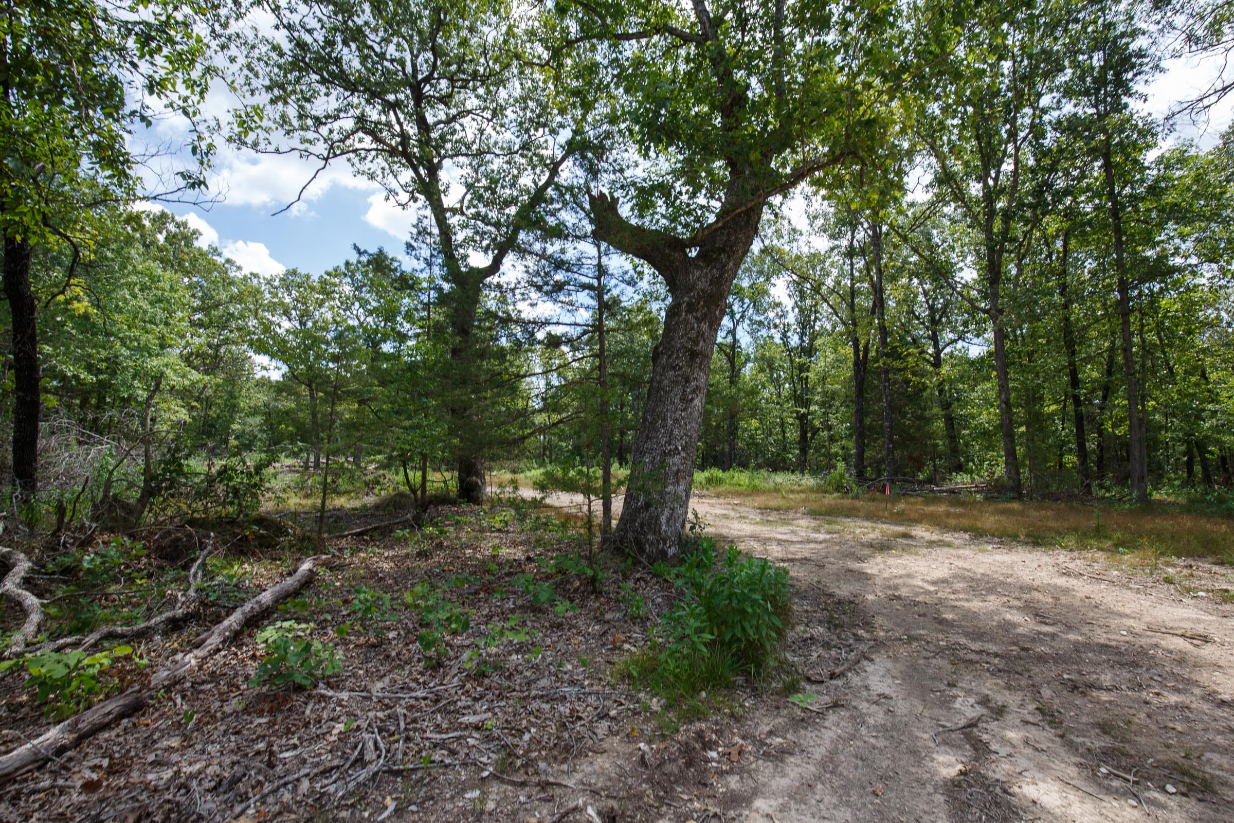 Wildwood Tract 9 photo 4