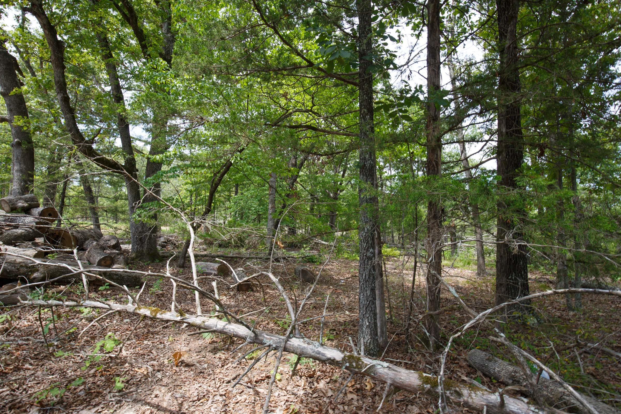 Wildwood Tract 9 photo 9