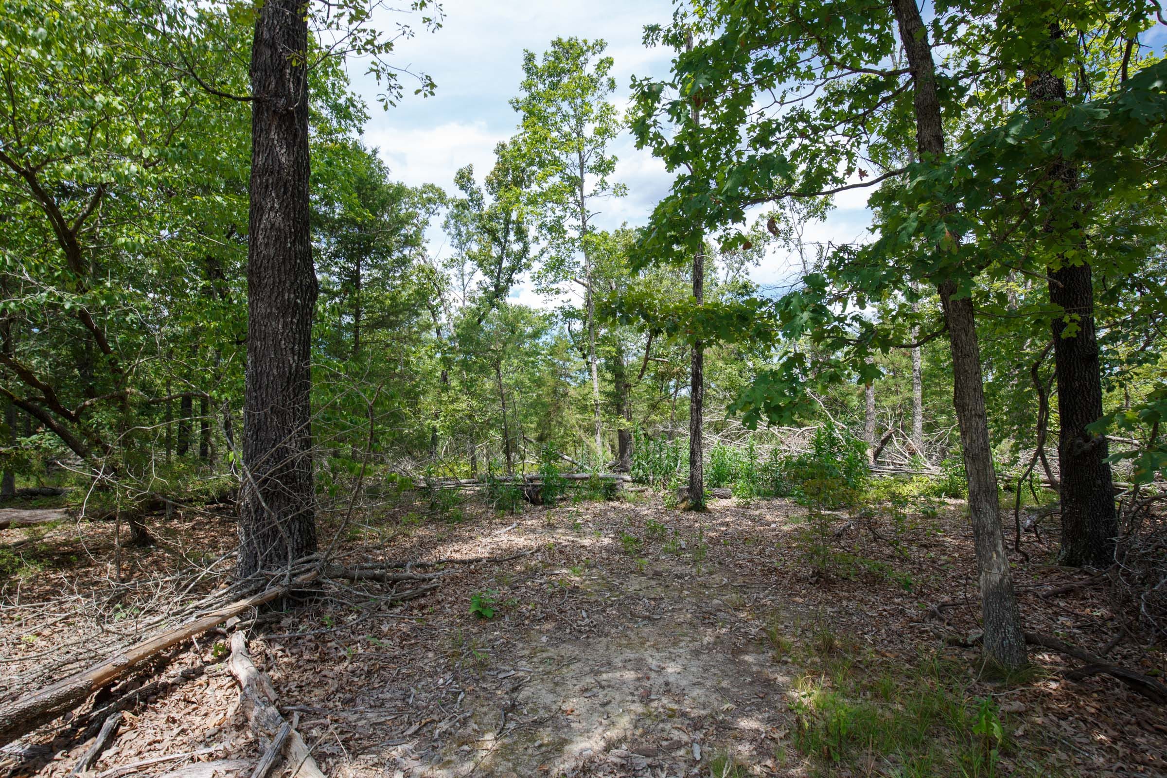 Wildwood Tract 9 photo 8