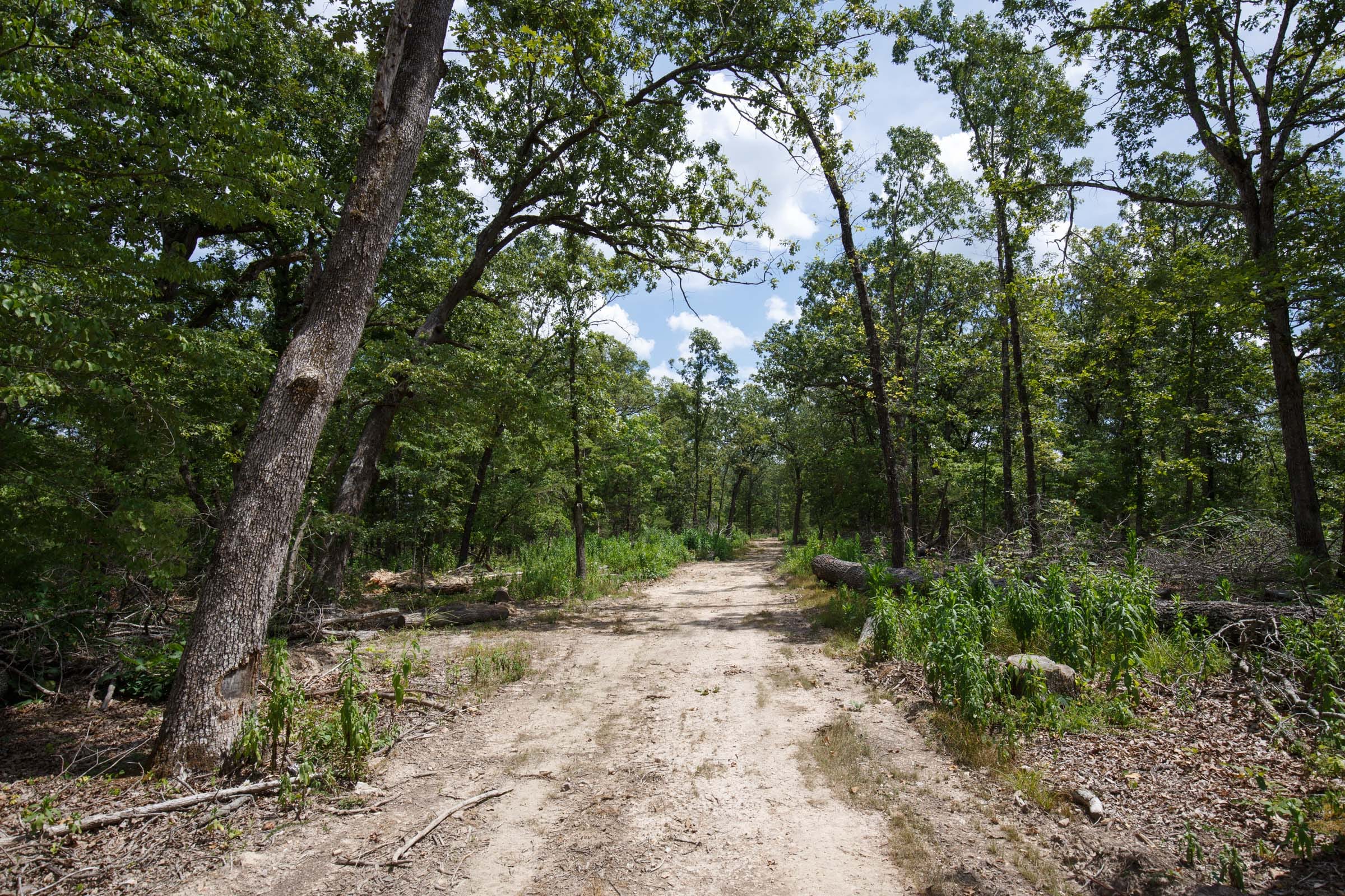 Wildwood Tract 9 photo 1