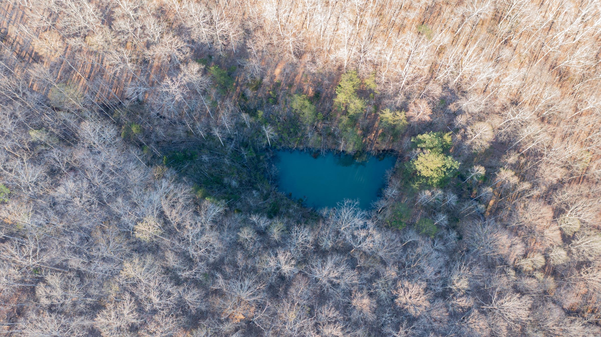 Woodland Heights Tract 19 photo 2