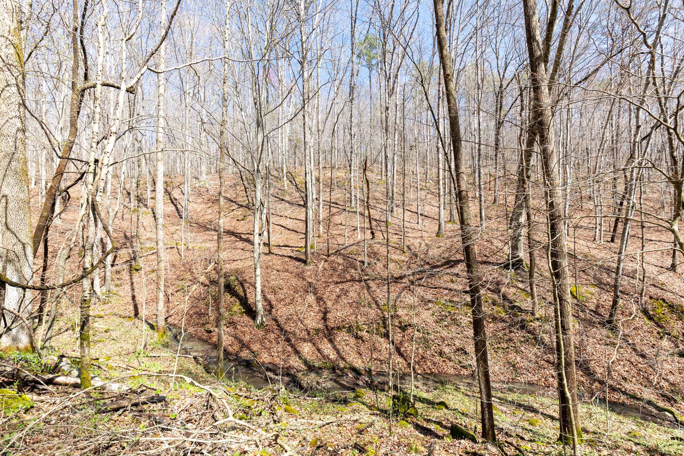 Woodland Heights Tract 19 photo 6