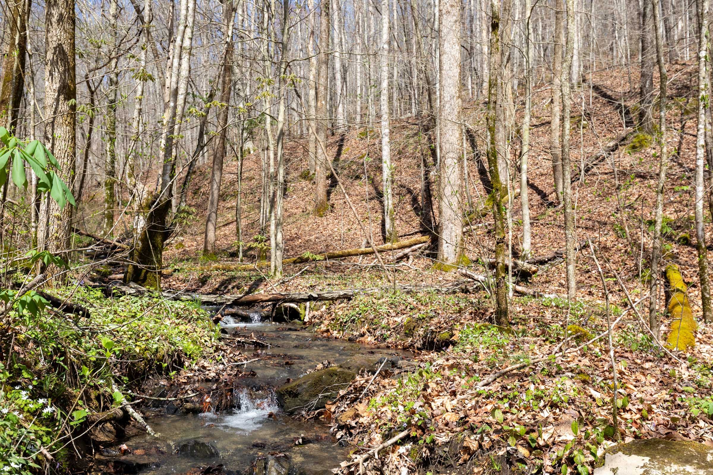 Woodland Heights Tract 19 photo 3
