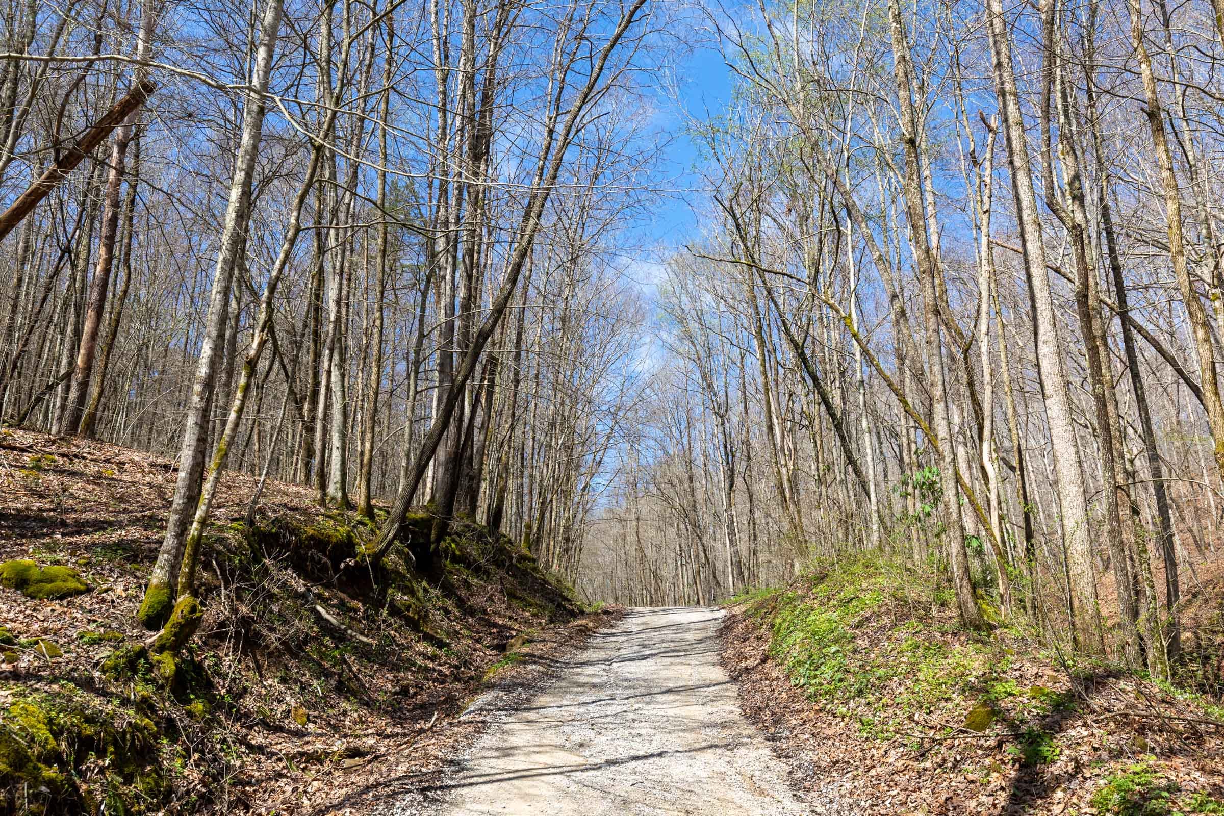 Woodland Heights Tract 19 photo 1