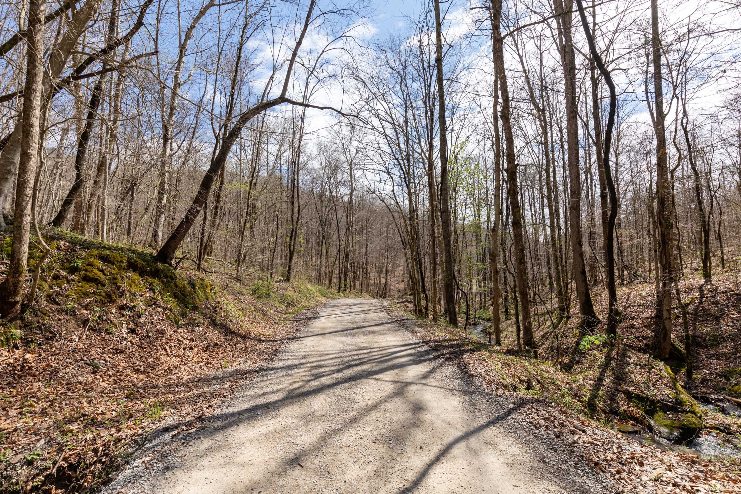 Woodland Heights Tract 19 photo 8