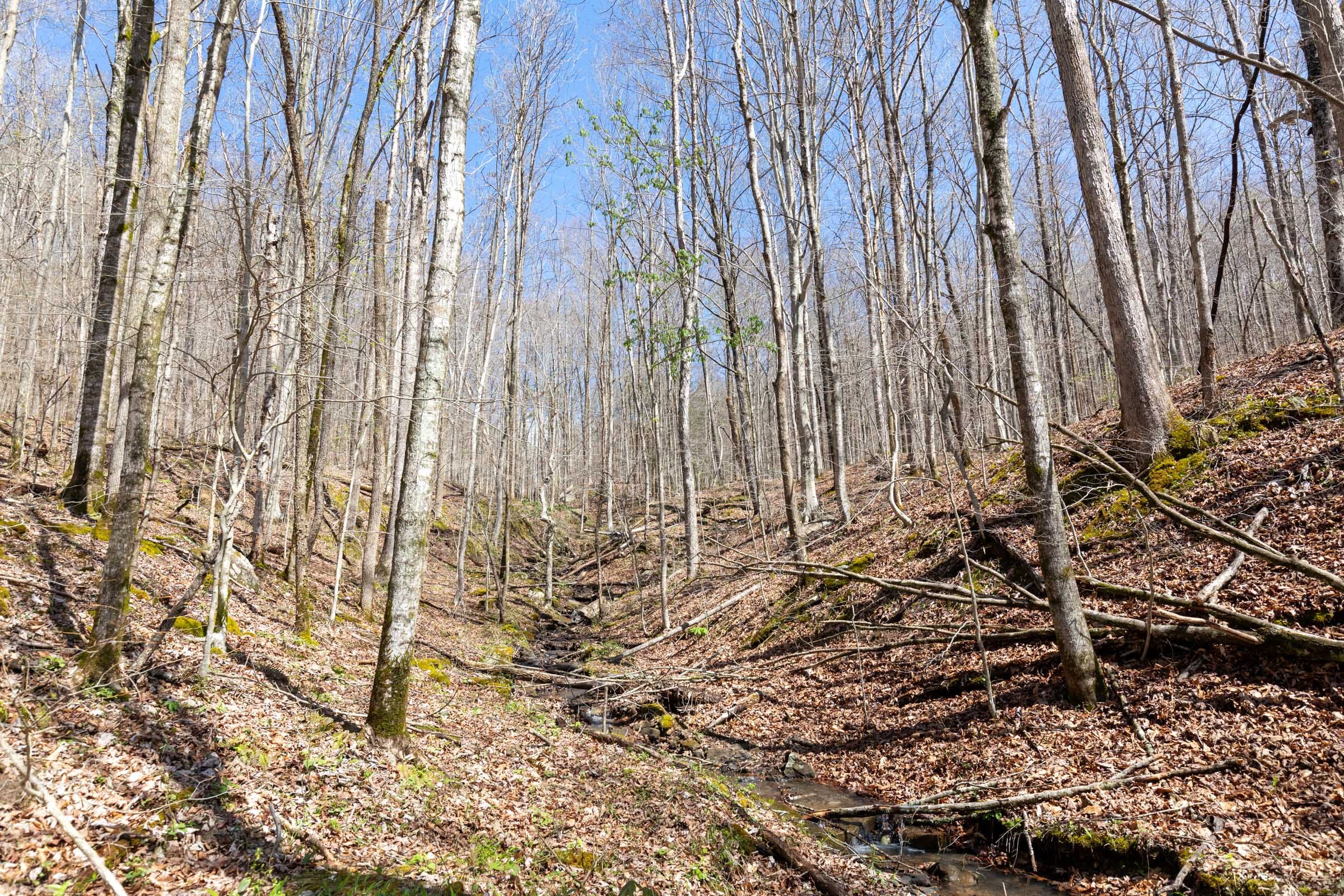 Woodland Heights Tract 19 photo 12