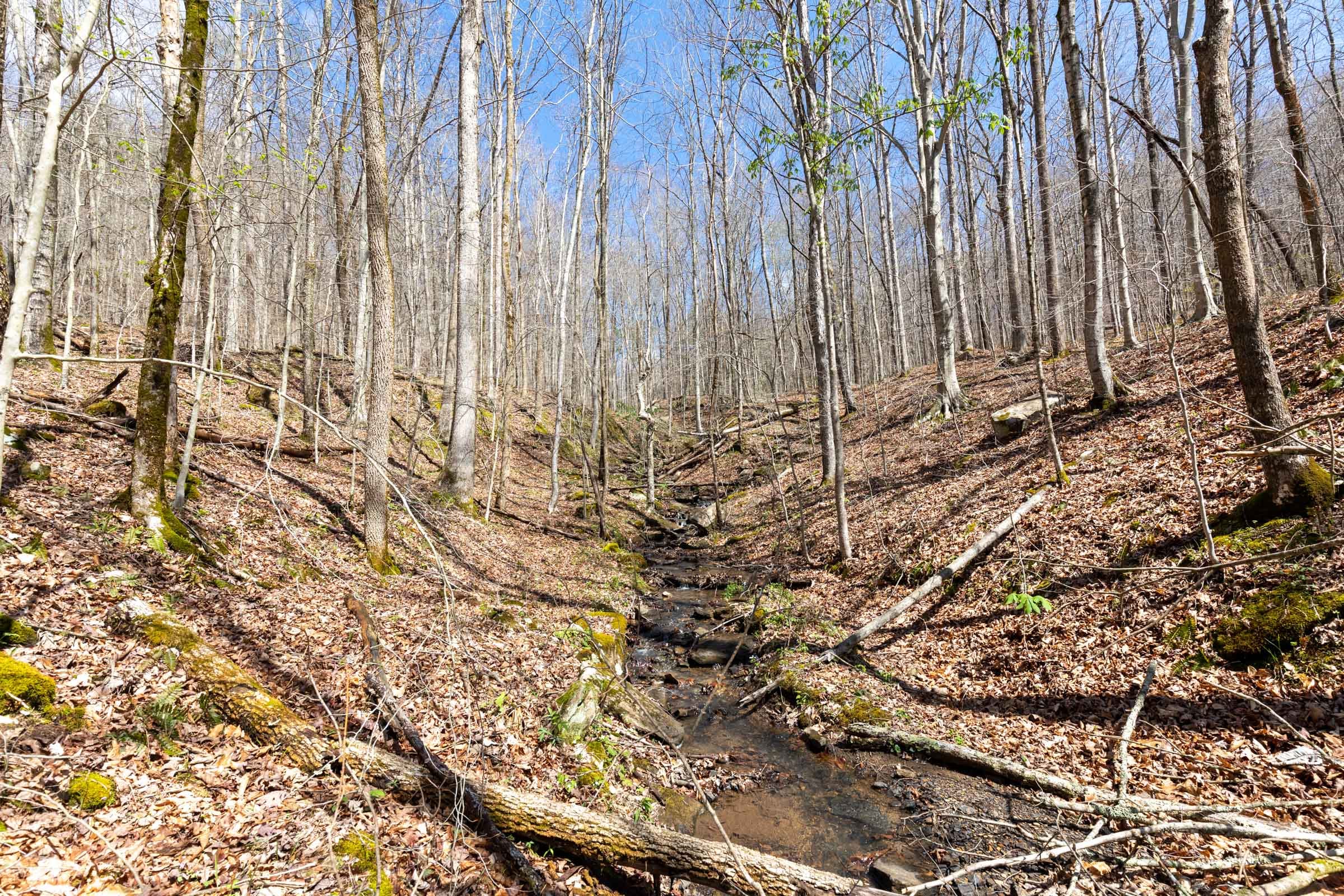 Woodland Heights Tract 19 photo 4