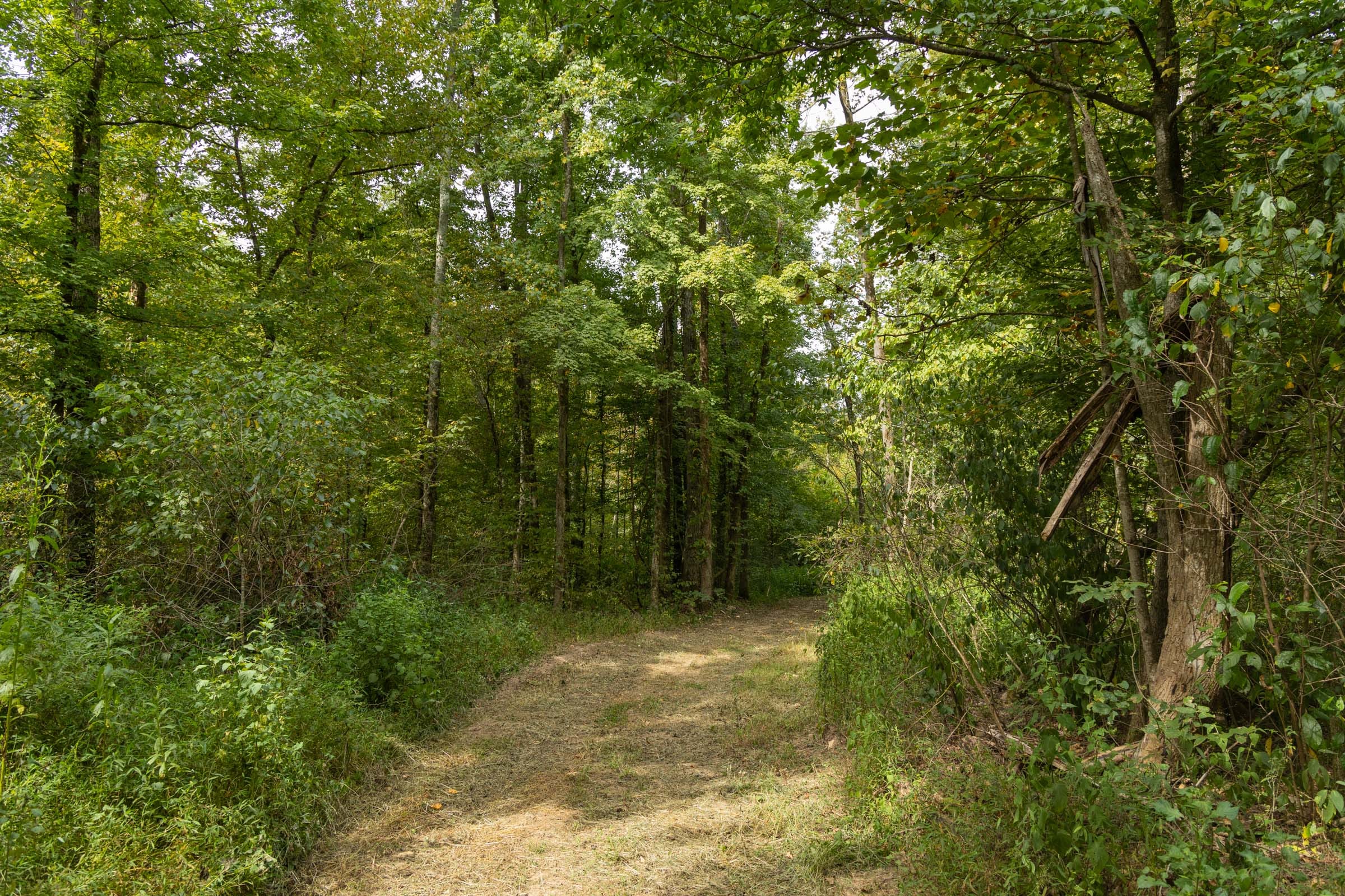Big White Oak Tract 122 photo 12