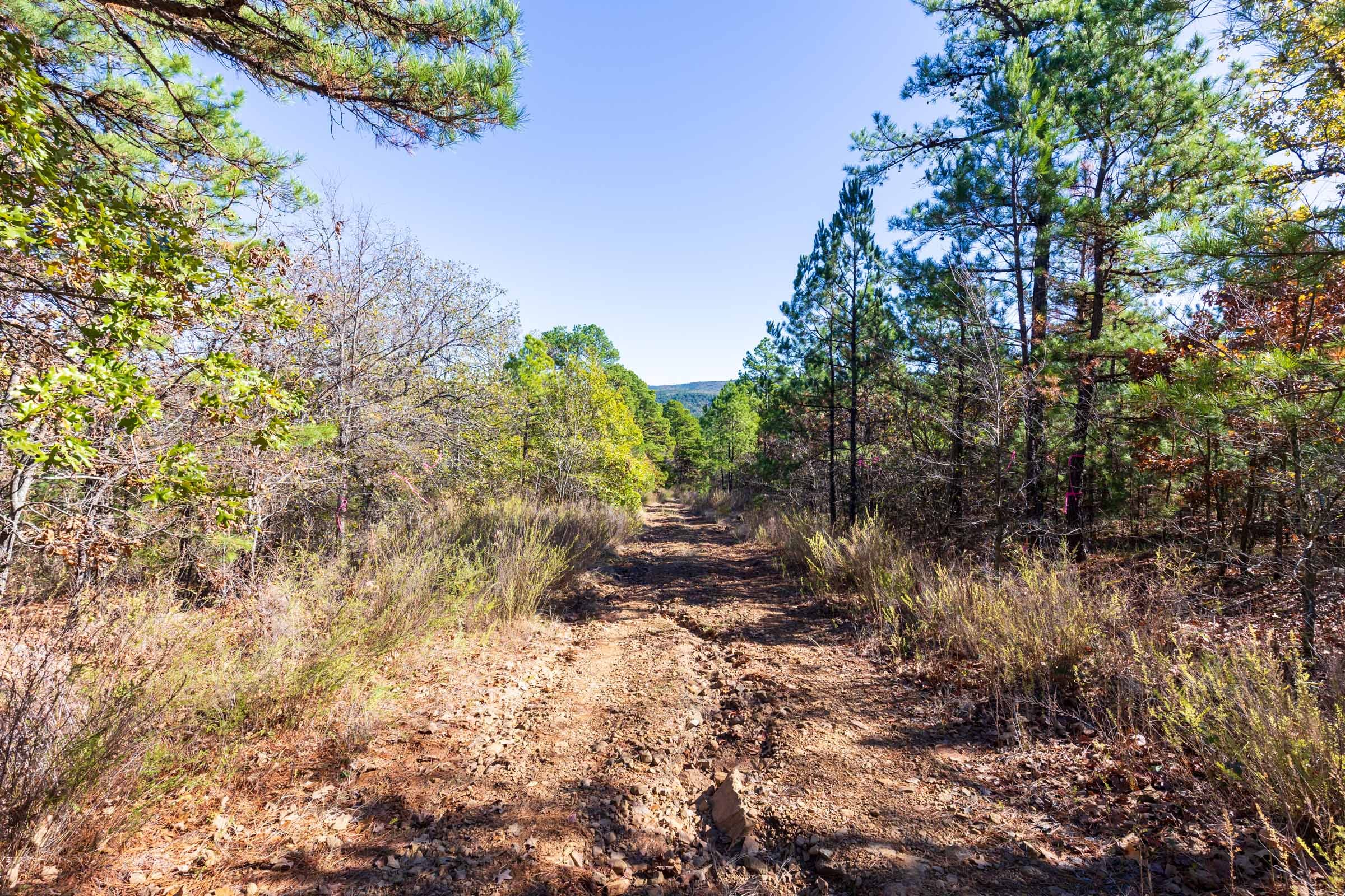 Stone Bridge Reserve Tract 17 photo 7