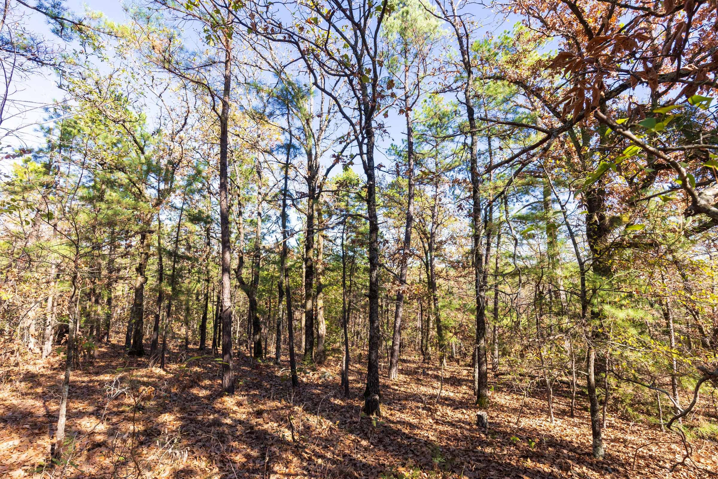 Stone Bridge Reserve Tract 17 photo 6