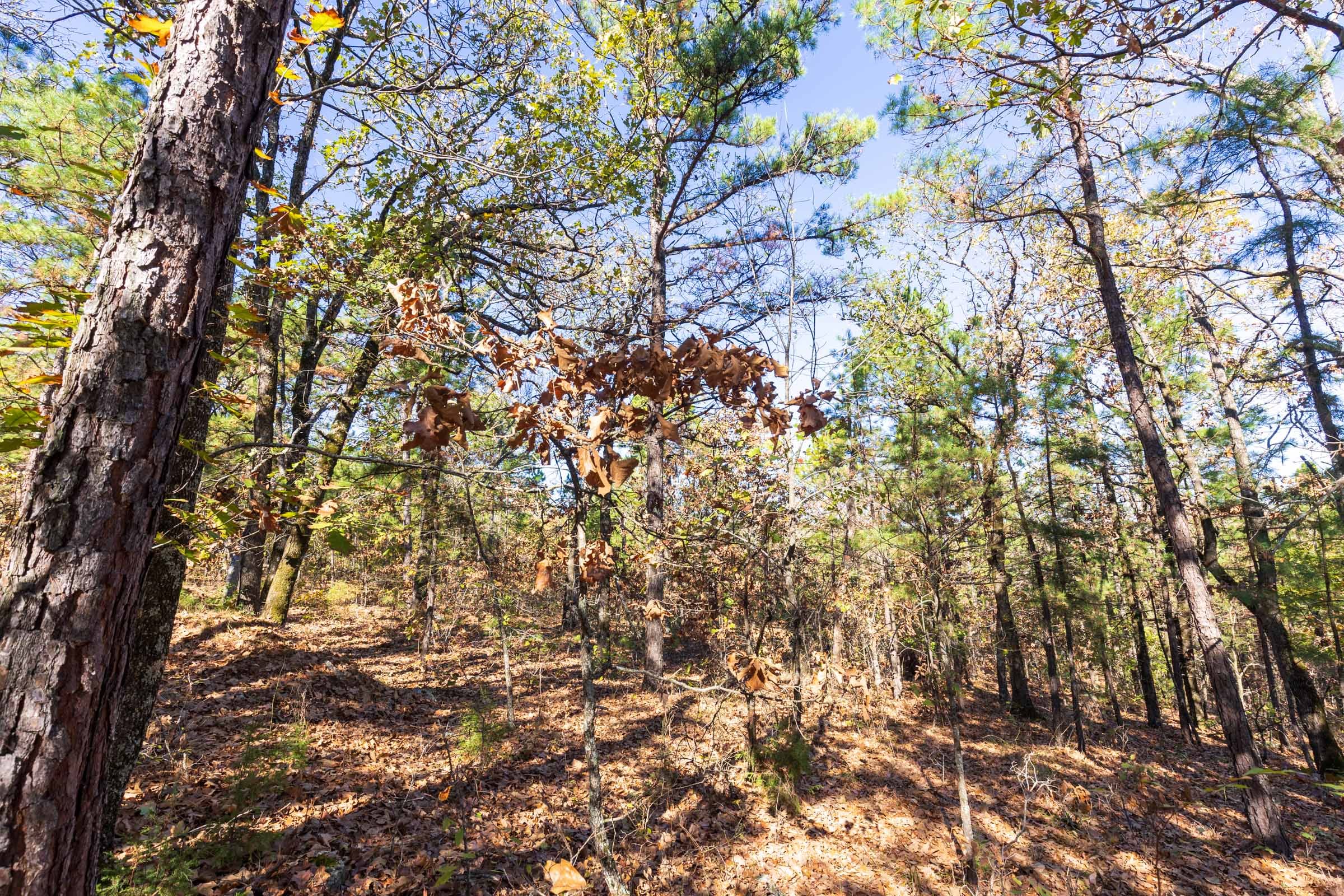 Stone Bridge Reserve Tract 17 photo 5