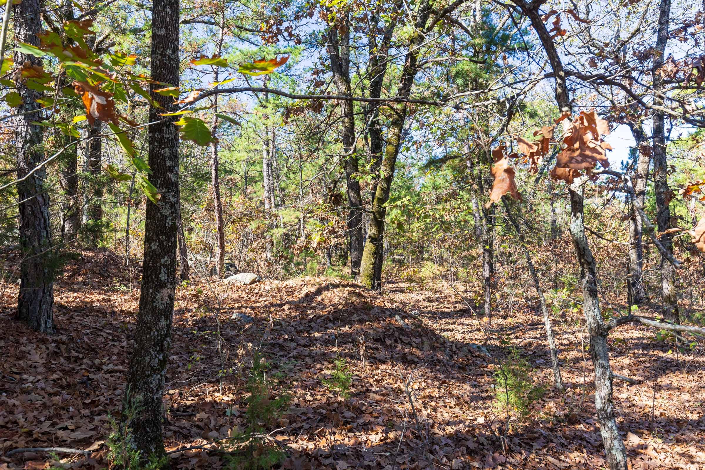 Stone Bridge Reserve Tract 17 photo 3