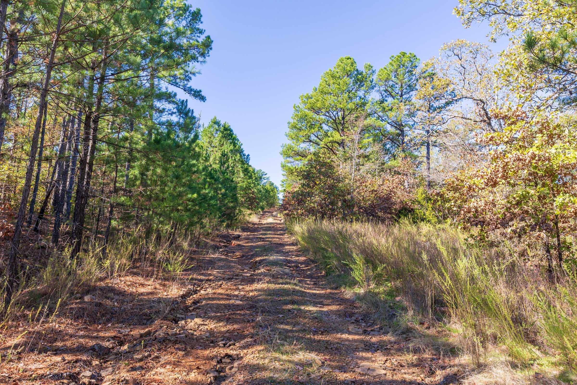 Stone Bridge Reserve Tract 17 photo 4
