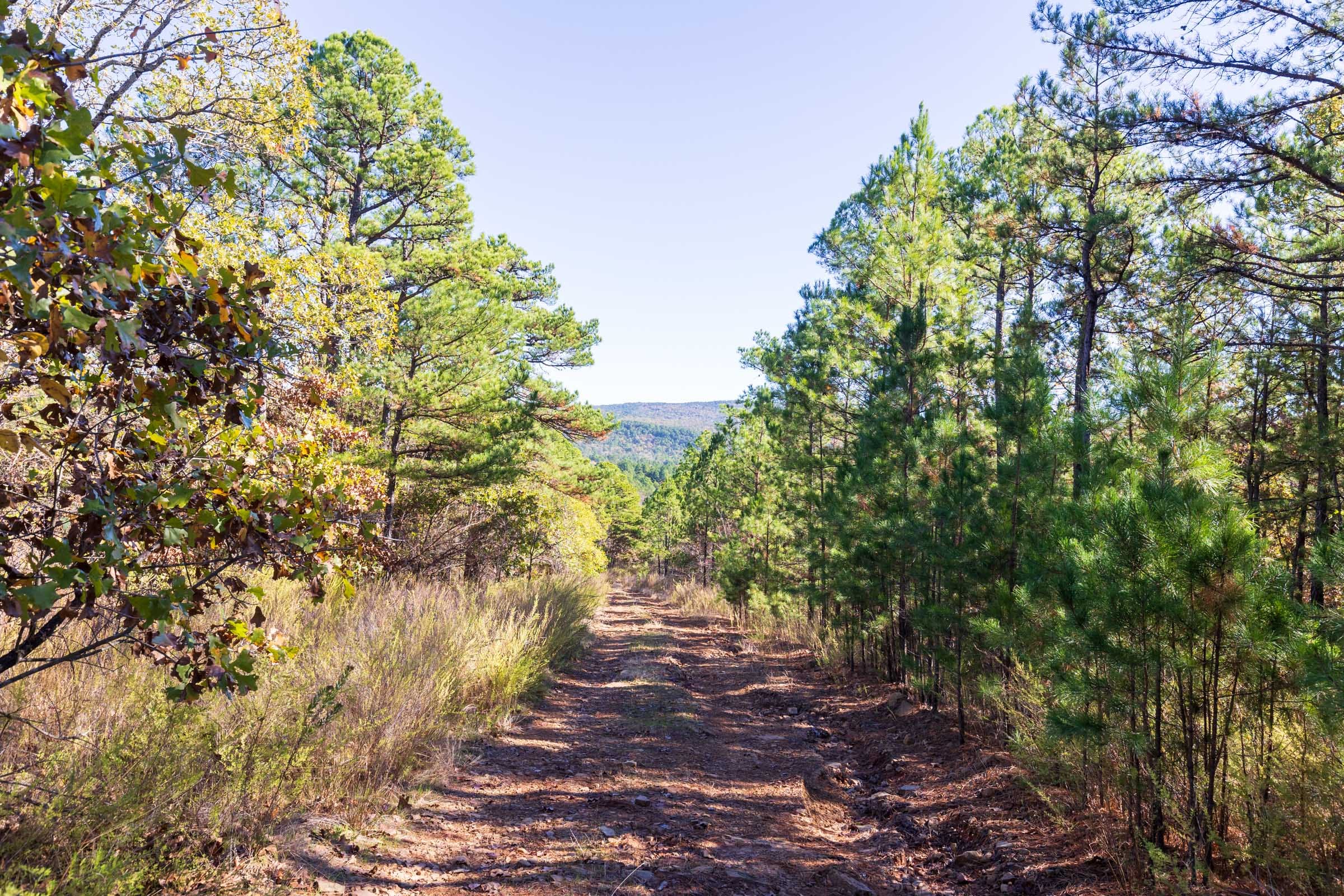 Stone Bridge Reserve Tract 17 photo 1