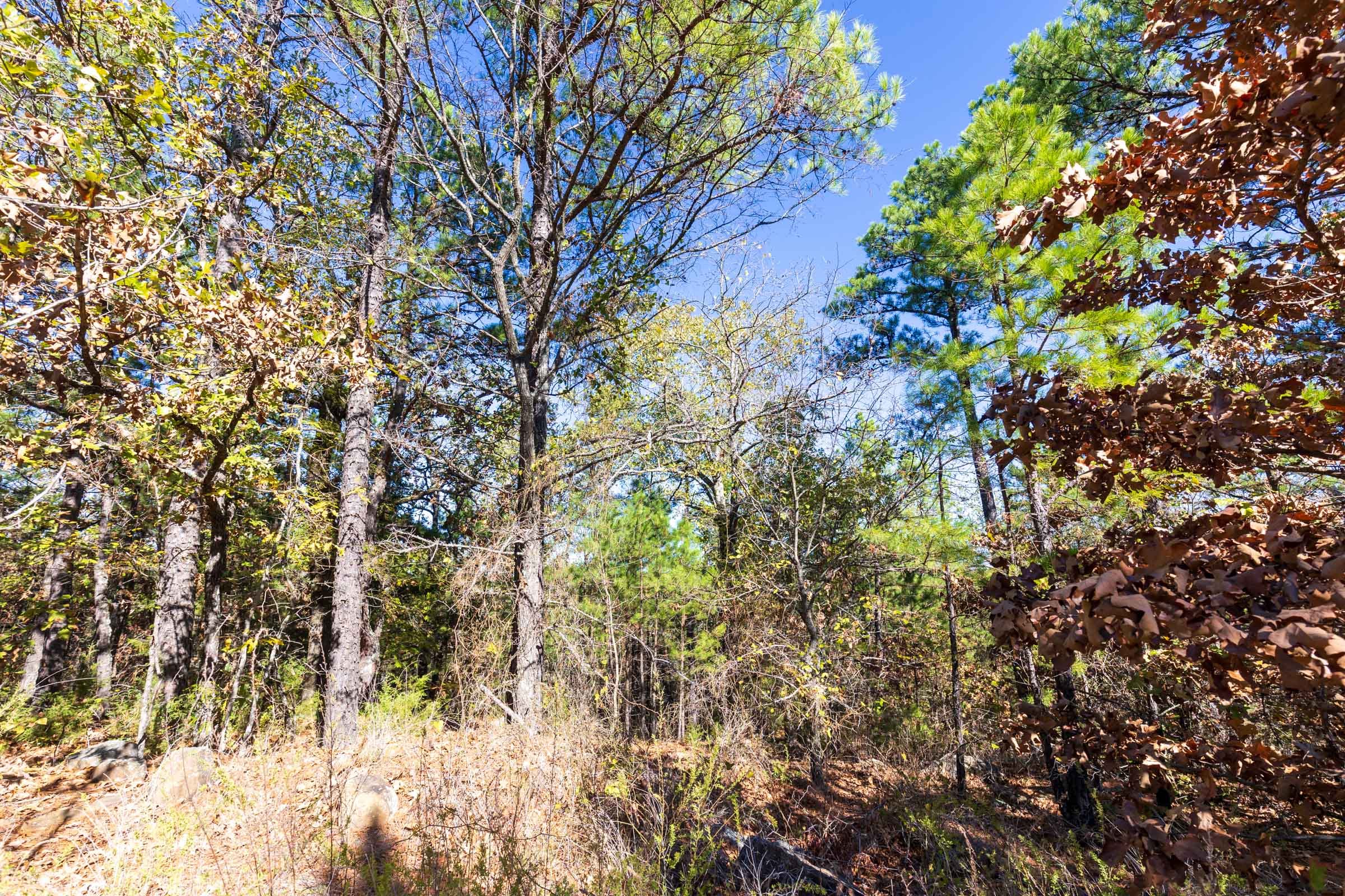 Stone Bridge Reserve Tract 17 photo 2