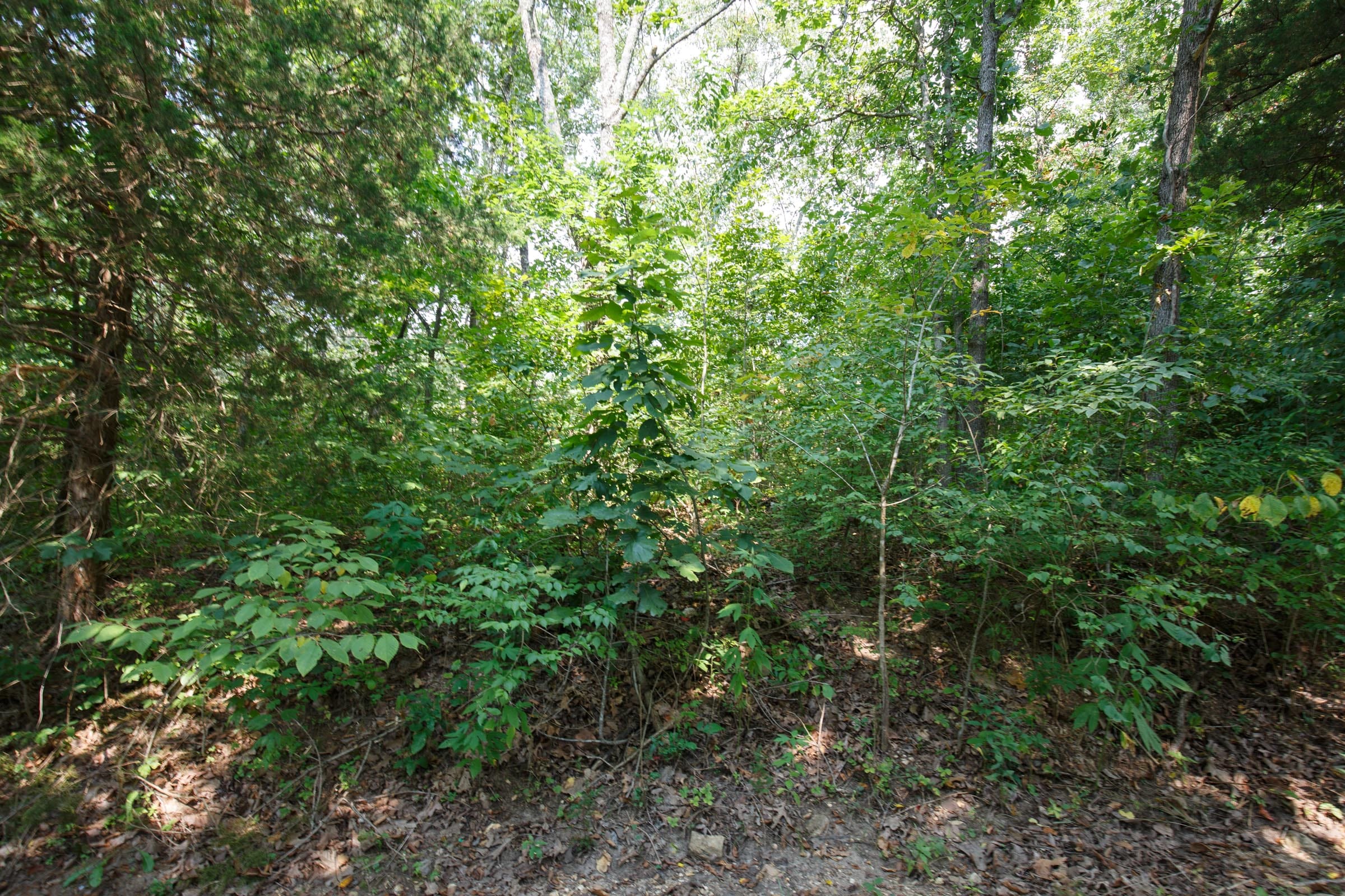 Spring Lake Plat 2 Tract 8 photo 2