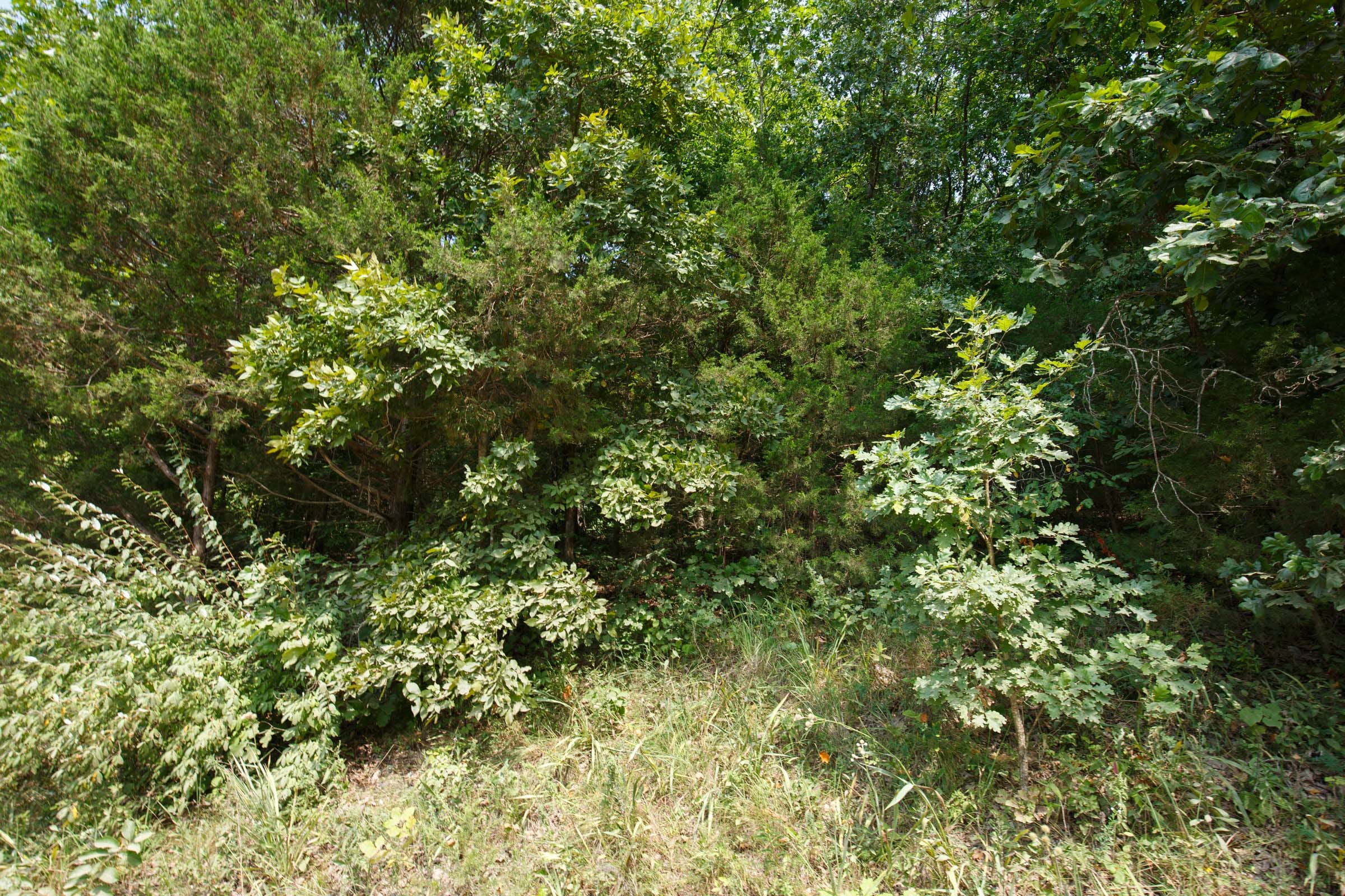 Spring Lake Plat 6 Tract 128 photo 2