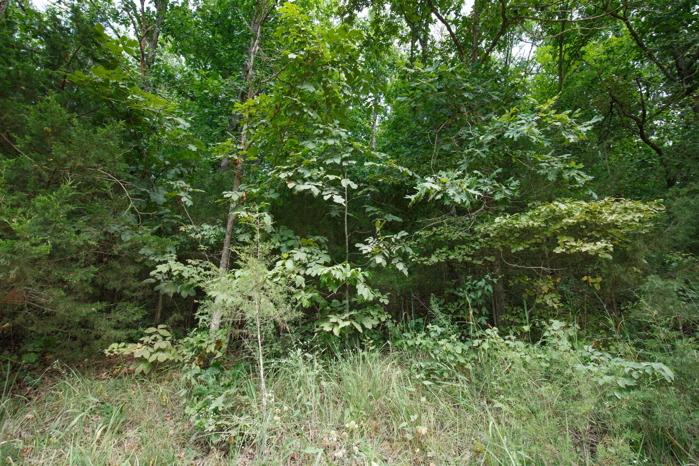 Spring Lake Plat 6 Tract 128 photo 3