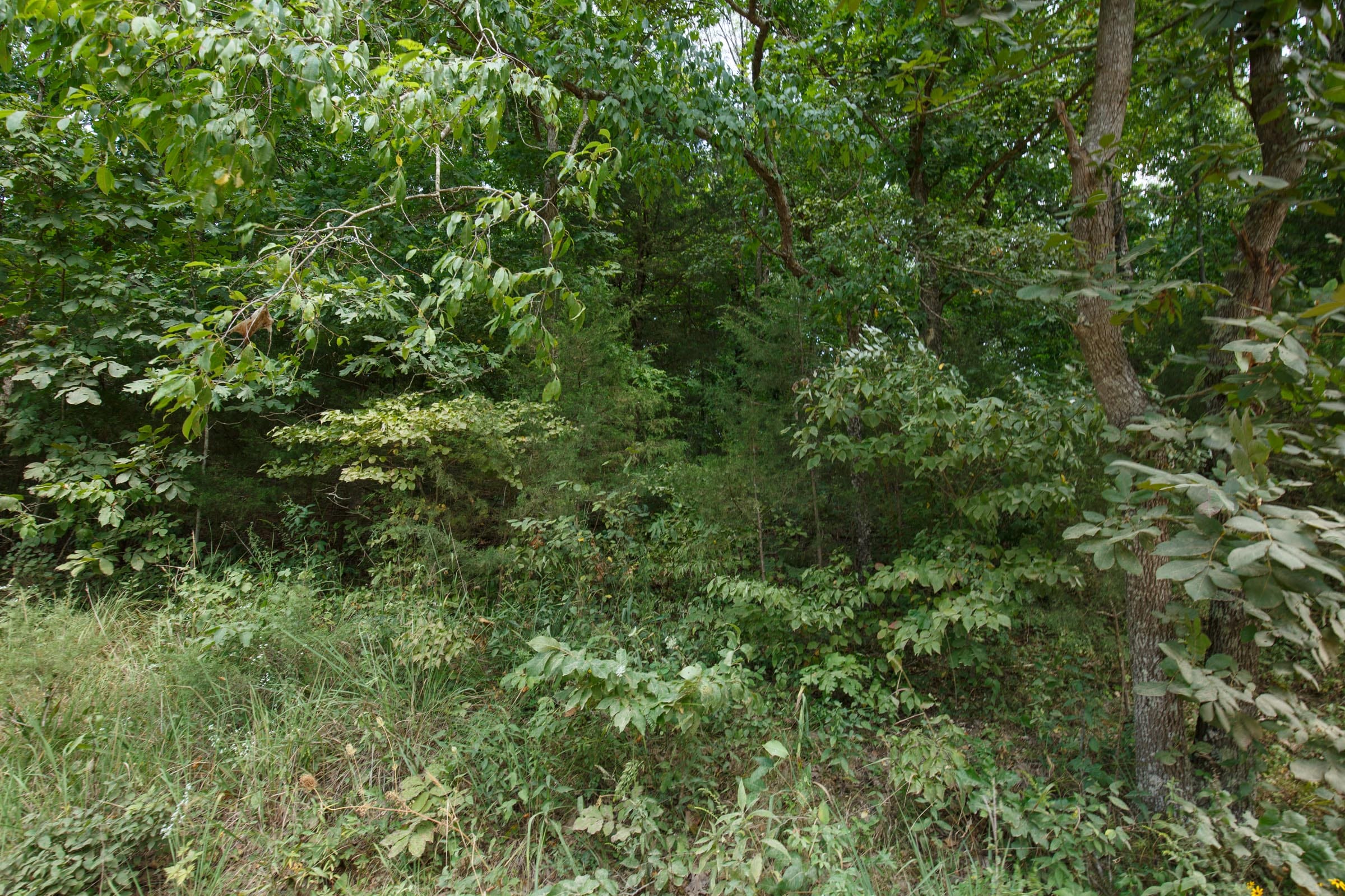 Spring Lake Plat 6 Tract 128 photo 5