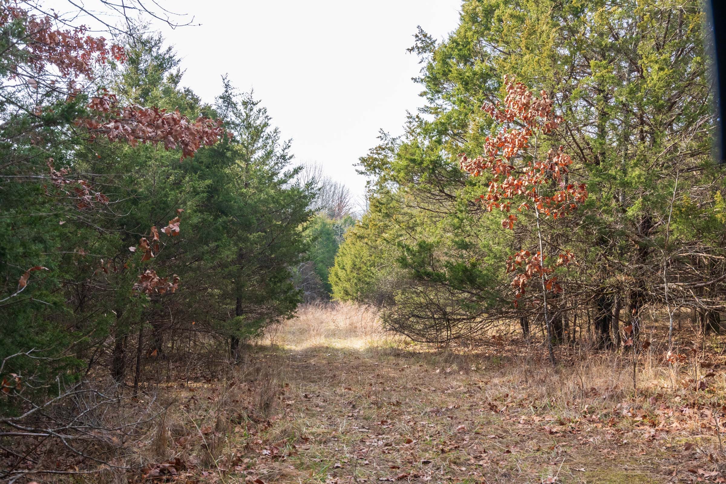 Crossroads Tract 15 photo 2