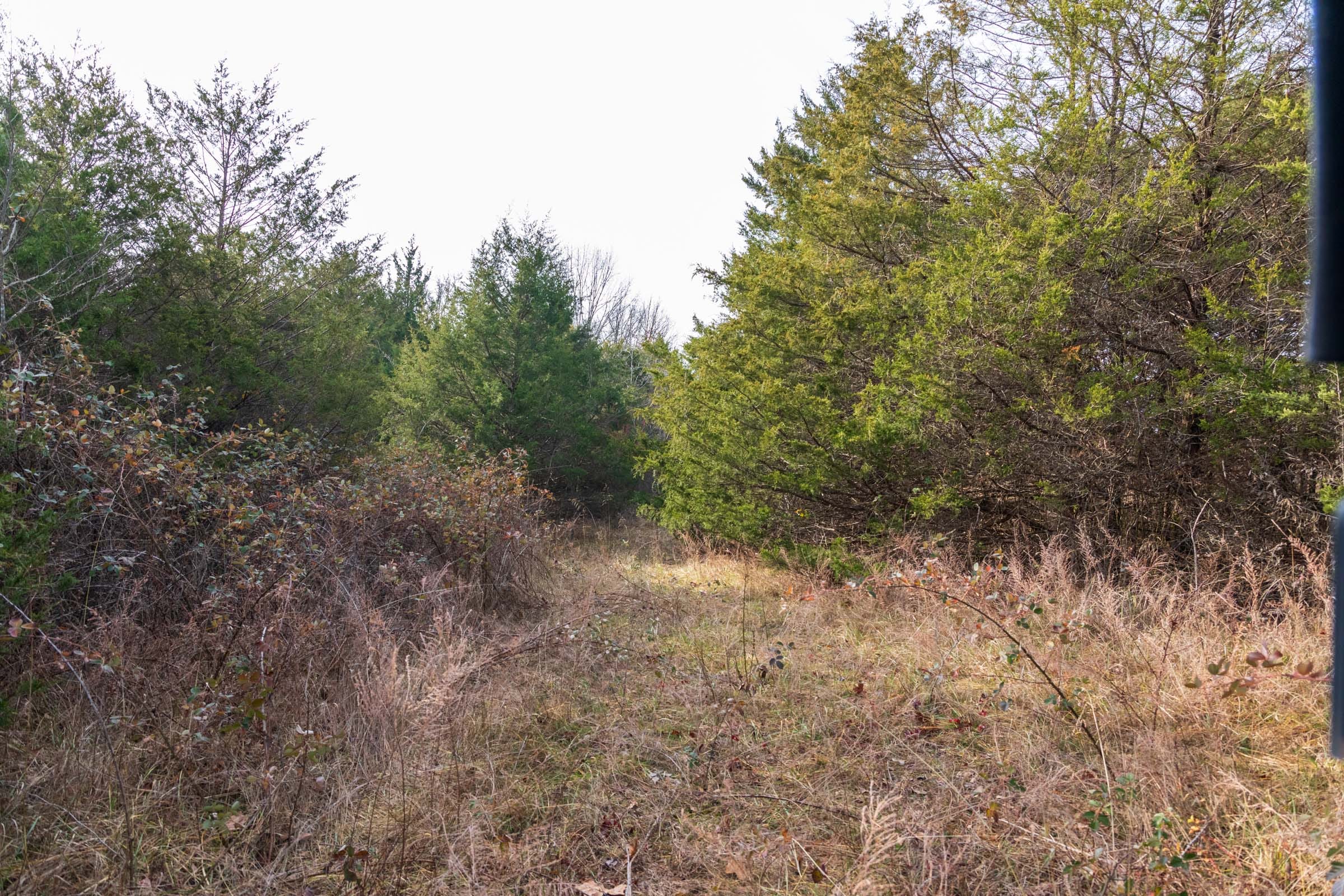 Crossroads Tract 15 photo 3