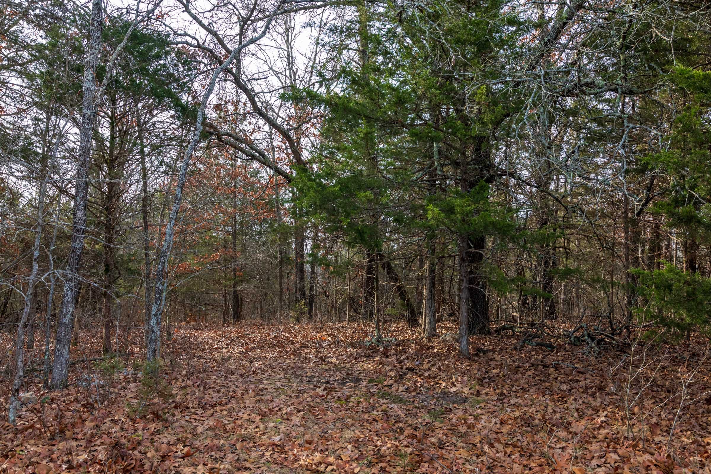 Crossroads Tract 15 photo 4