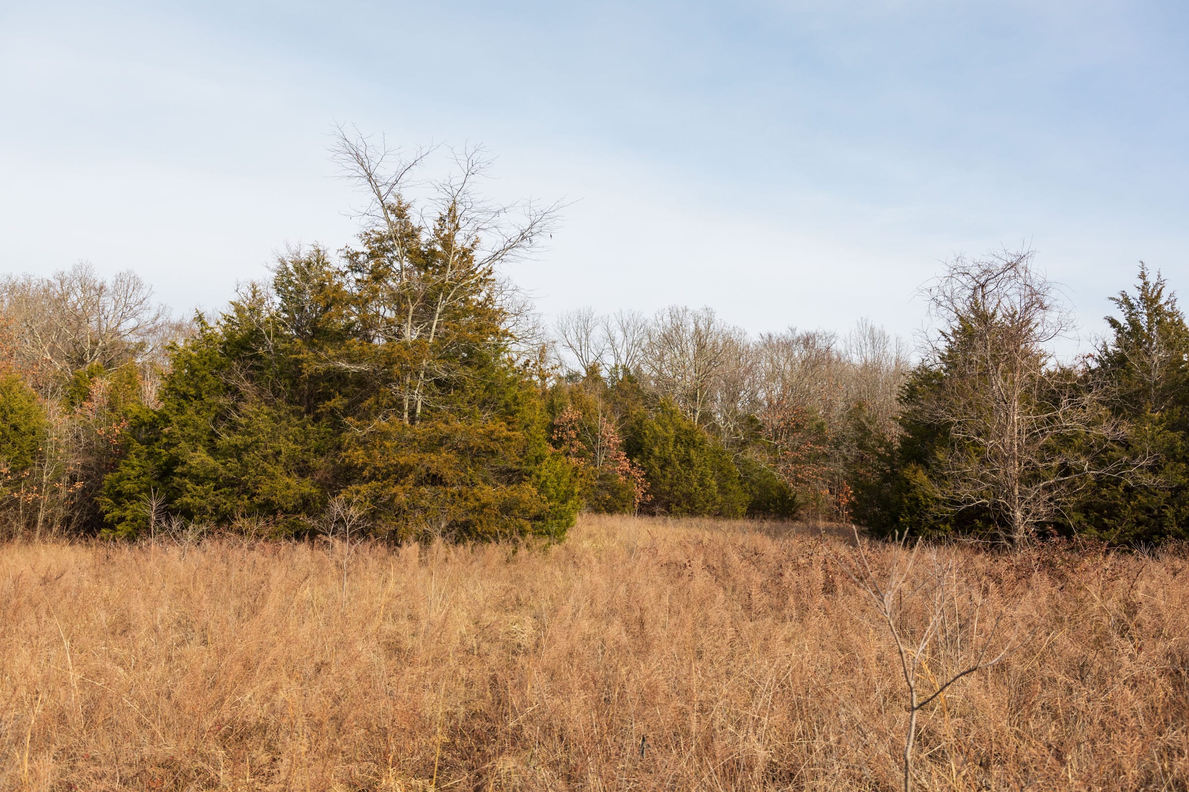 Crossroads Tract 15 photo 5