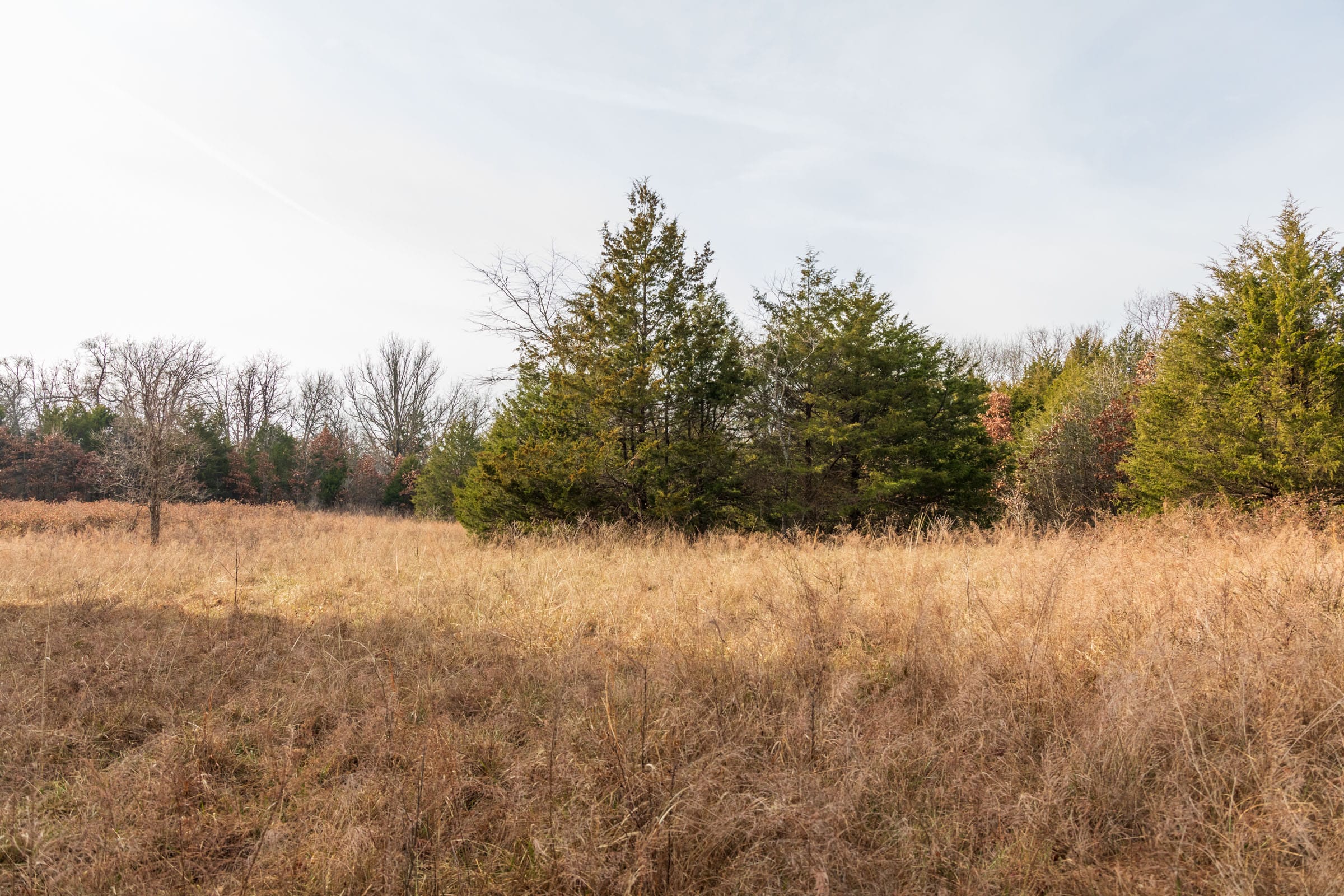 Crossroads Tract 15 photo 6