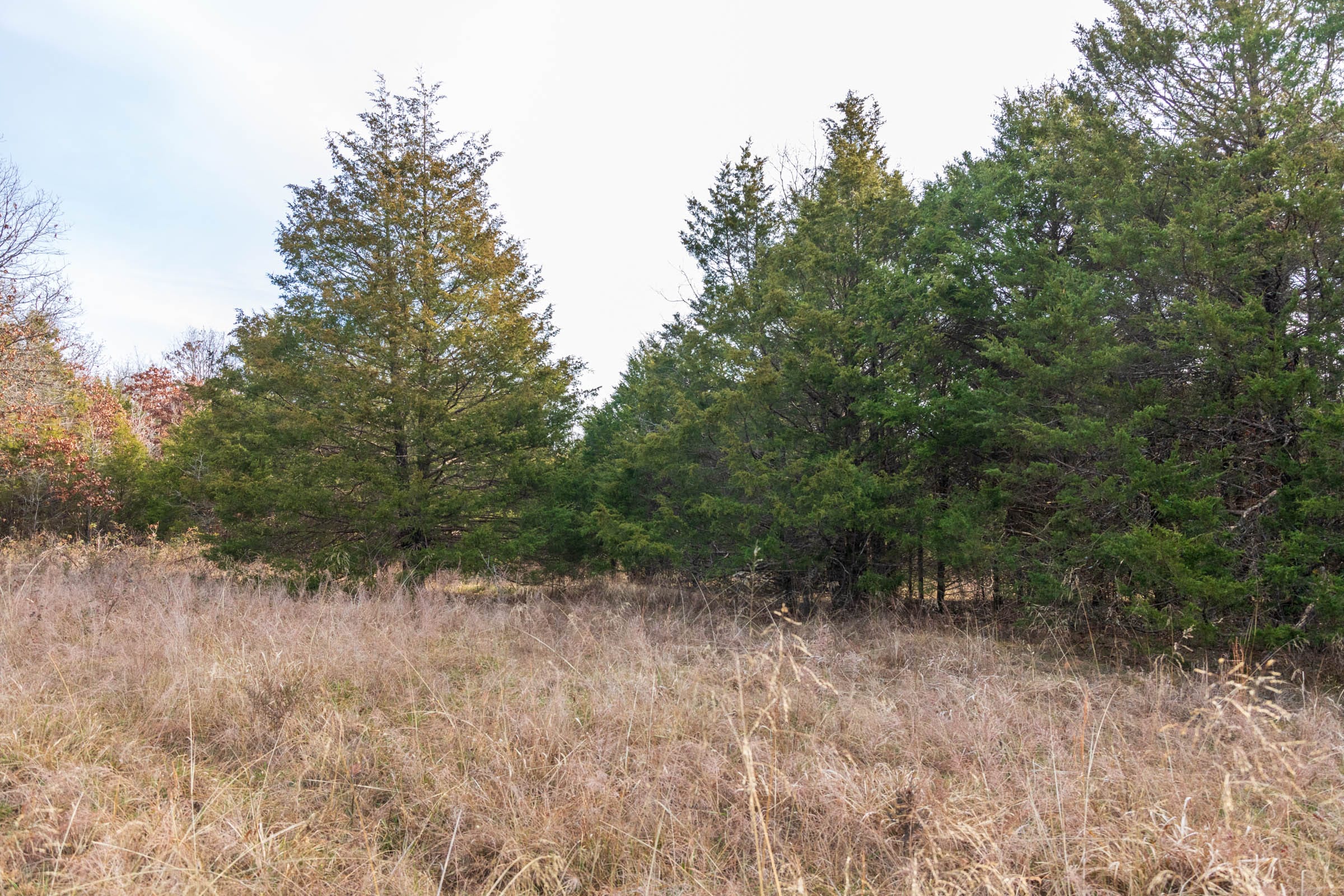 Crossroads Tract 15 photo 7