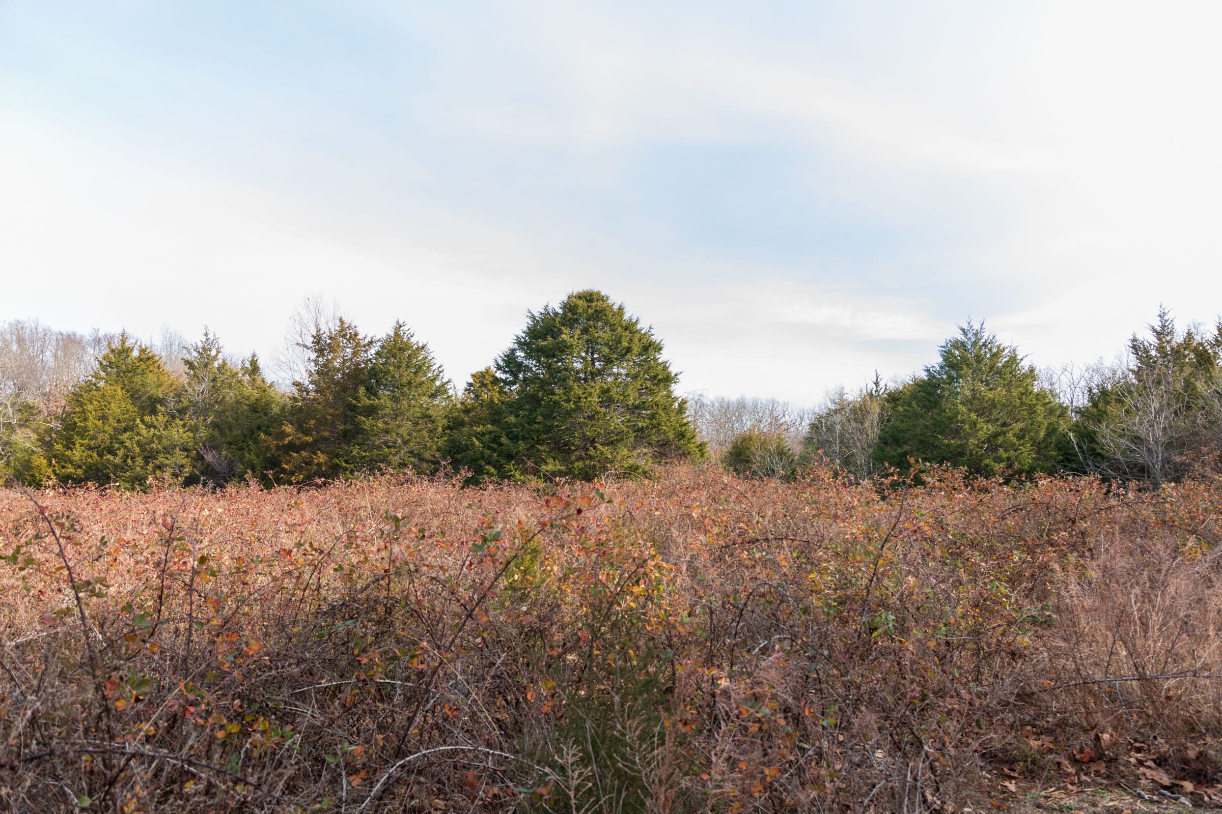Crossroads Tract 15 photo 8
