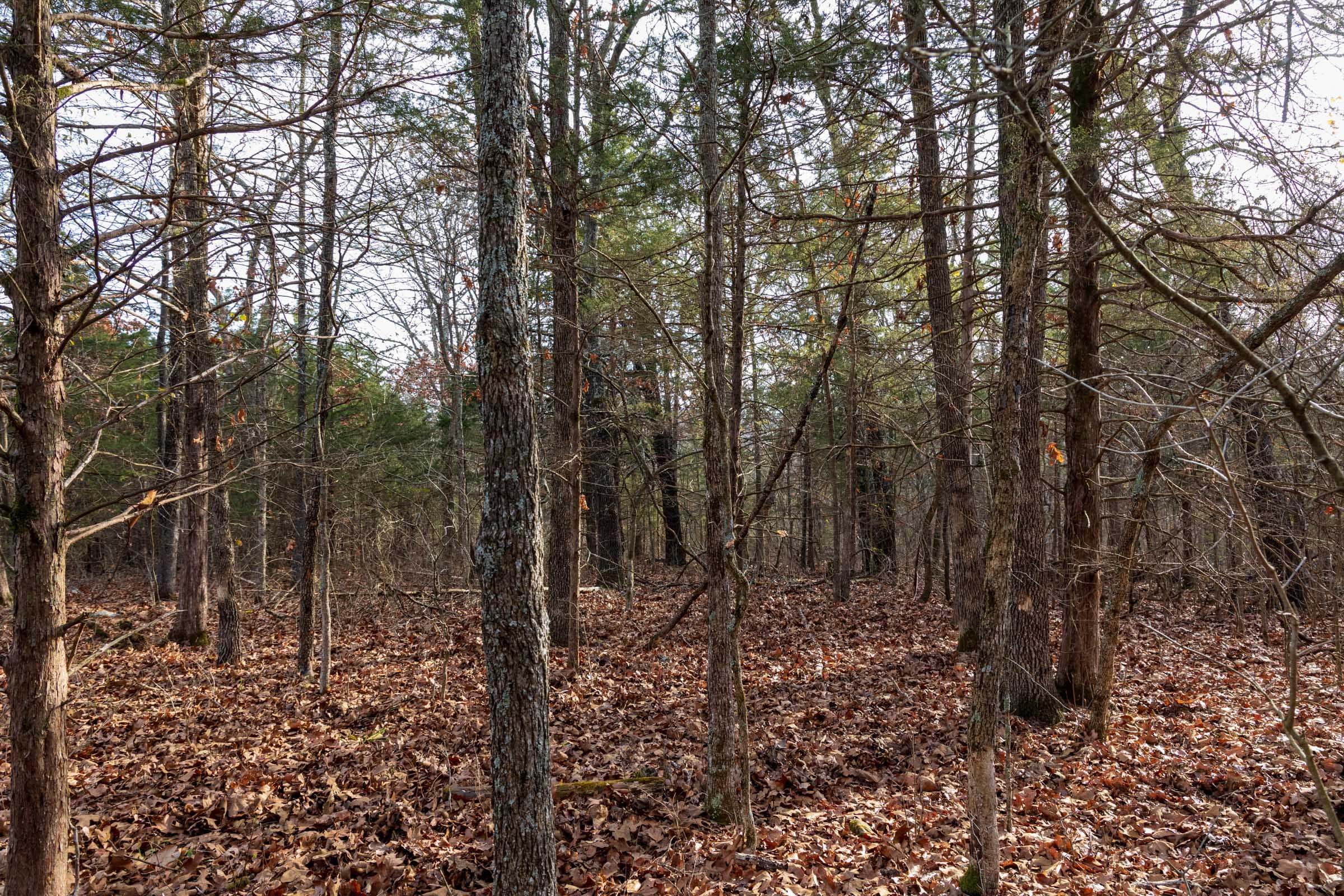 Crossroads Tract 15 photo 9