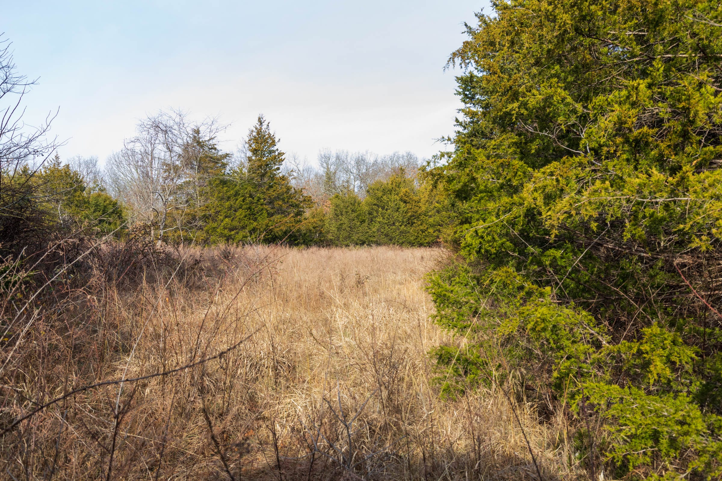 Crossroads Tract 15 photo 10