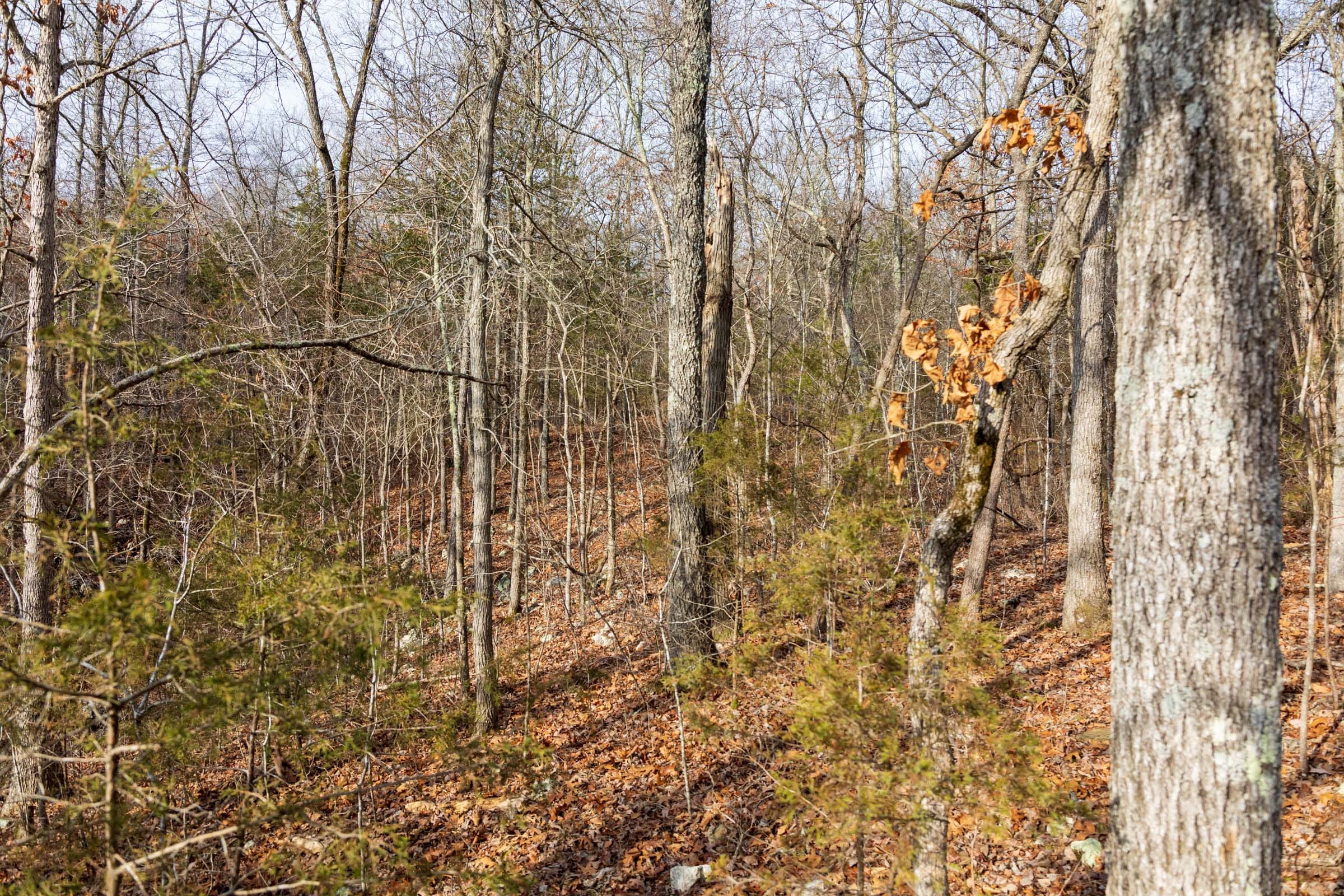 Crossroads Tract 15 photo 11