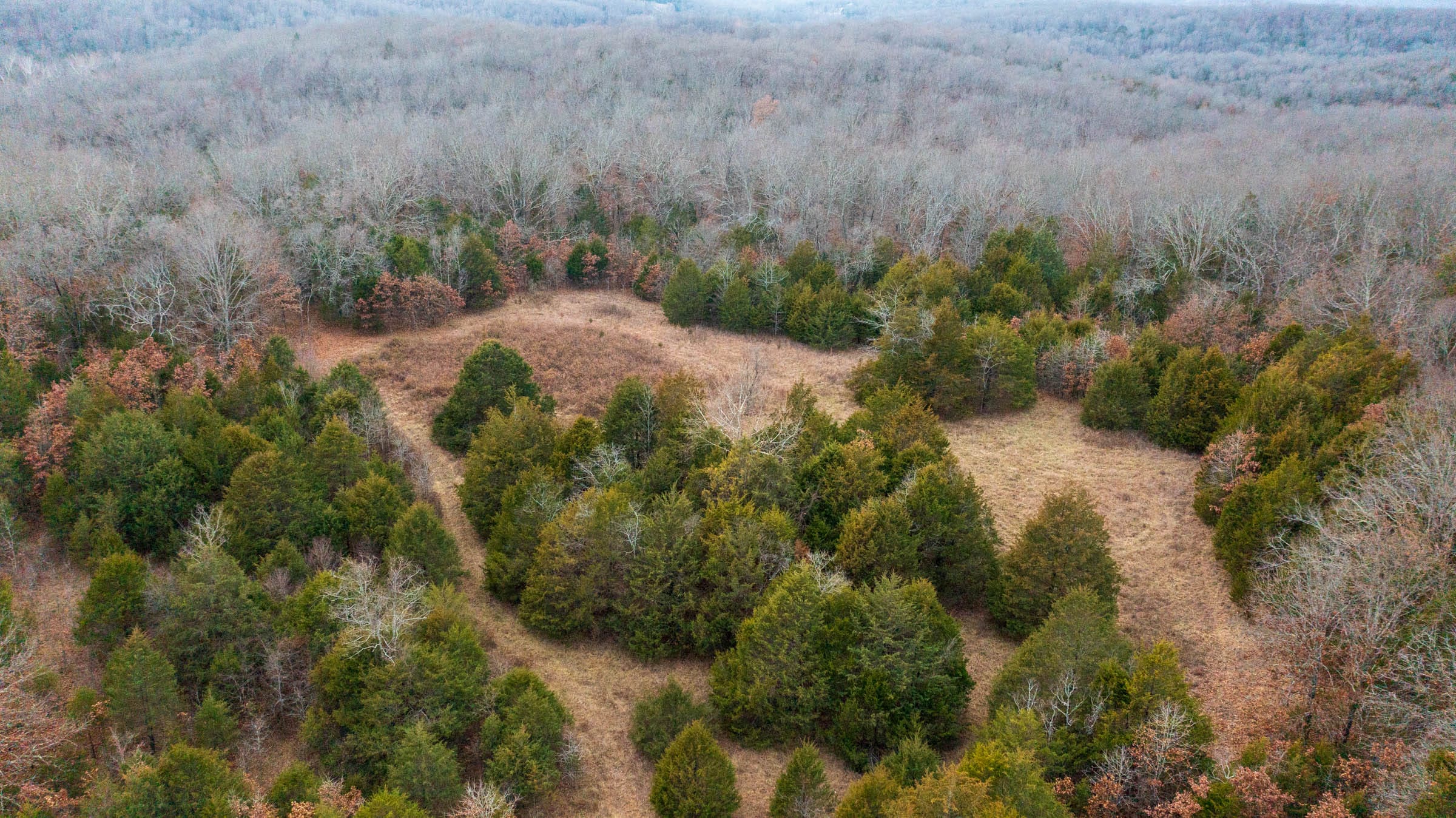 Crossroads Tract 15 photo 12