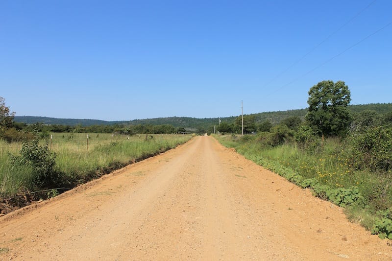 Daisy Meadows Tract 25 photo 1