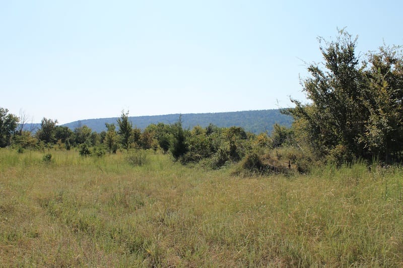 Daisy Meadows Tract 25 photo 2