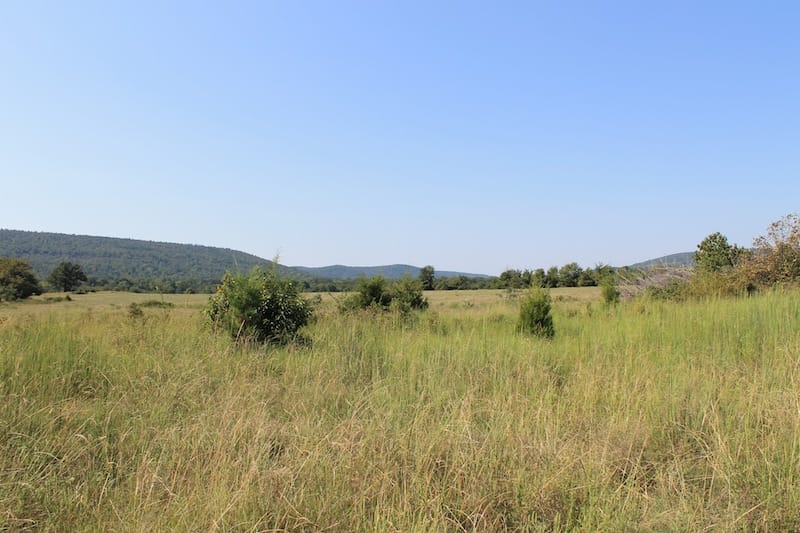 Daisy Meadows Tract 25 photo 4