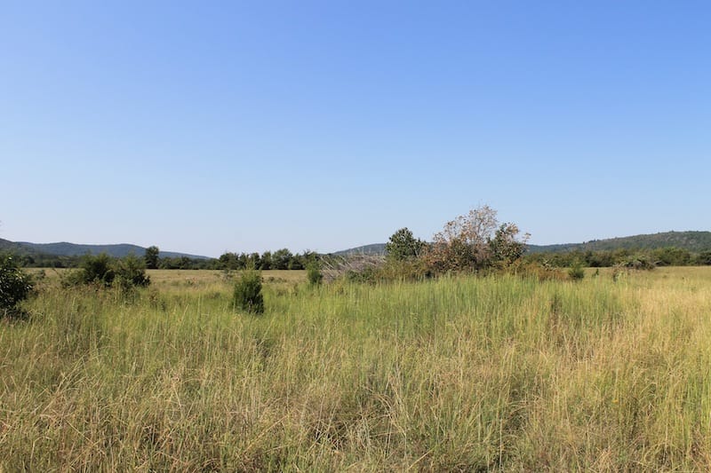 Daisy Meadows Tract 25 photo 5