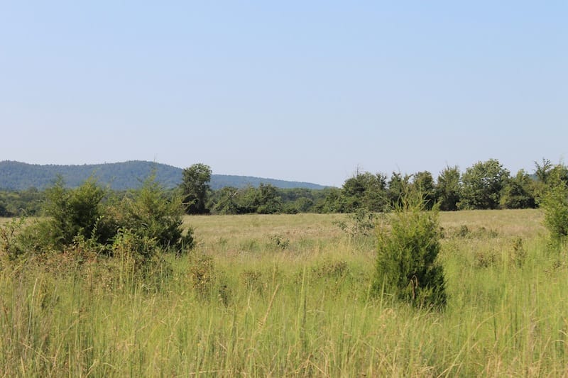 Daisy Meadows Tract 25 photo 7