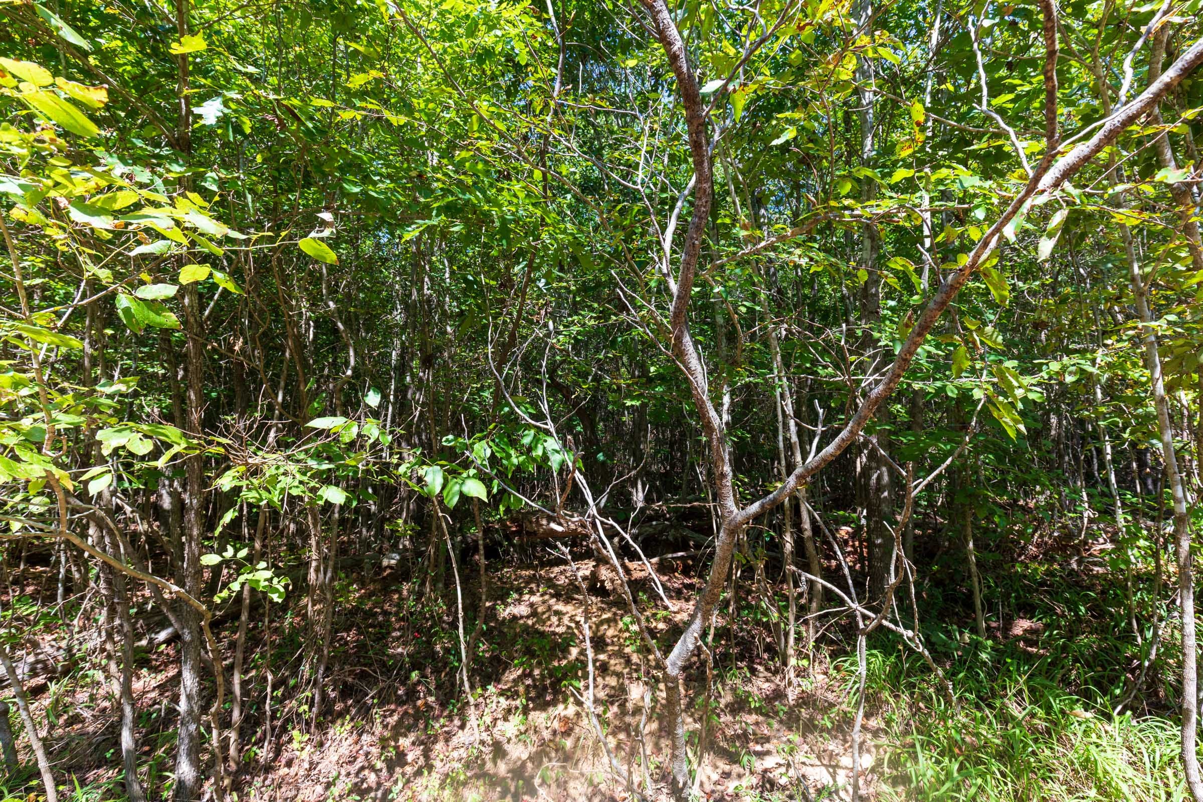 Redemption Ridge Tract 20 photo 6