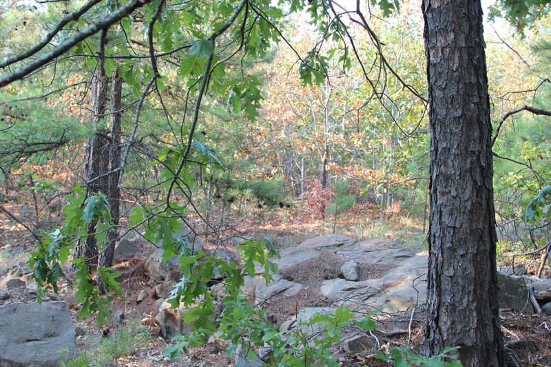 Trophy Ridge Phase II Tract 63 photo 3