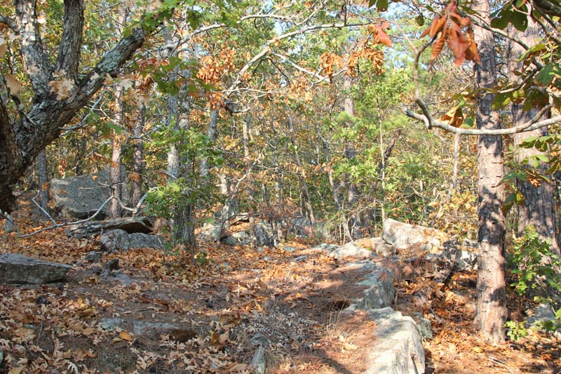 Trophy Ridge Phase II Tract 63 photo 4