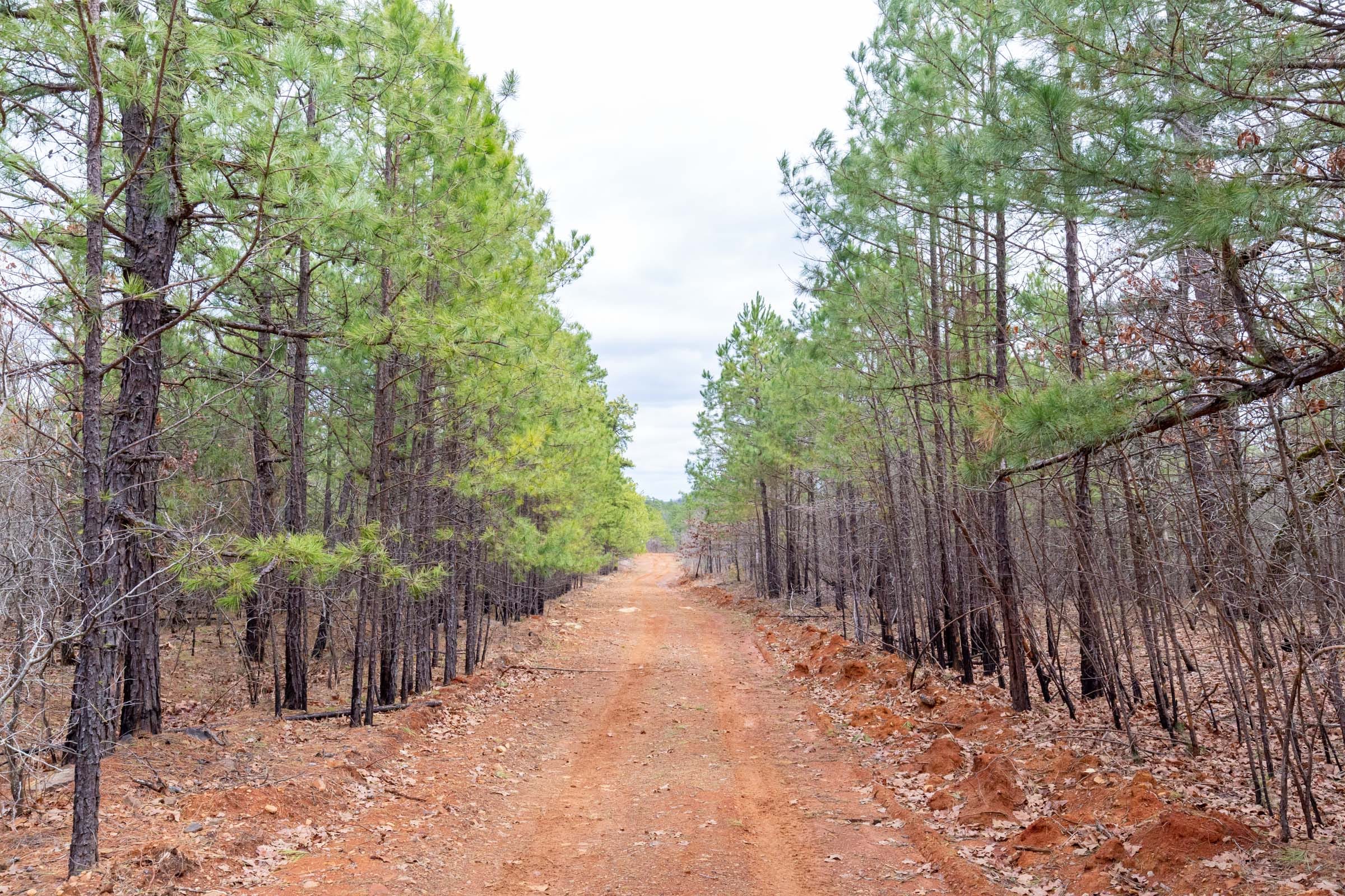 Stone Bridge Phase III Tract 174 photo 1