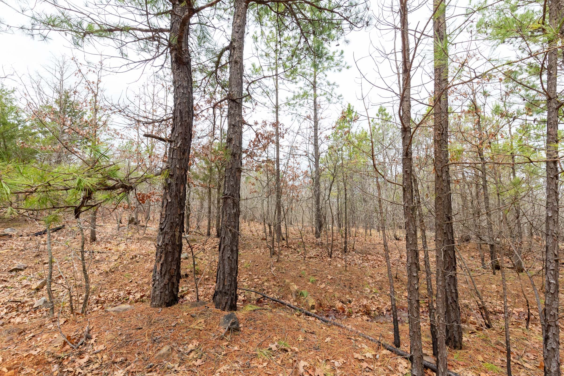 Stone Bridge Phase III Tract 174 photo 2