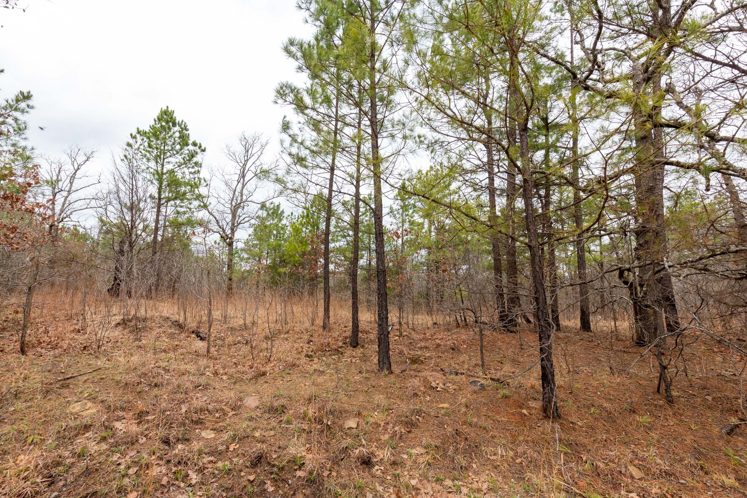Stone Bridge Phase III Tract 174 photo 8